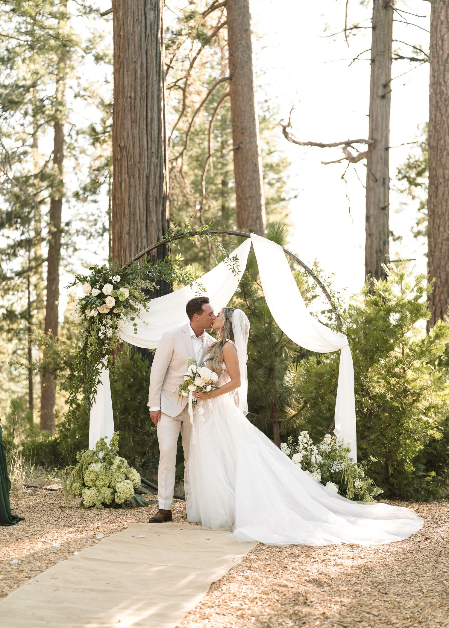 A panoramic wedding ceremony scene in a serene forest setting with white fabric decorations and tall pine trees.