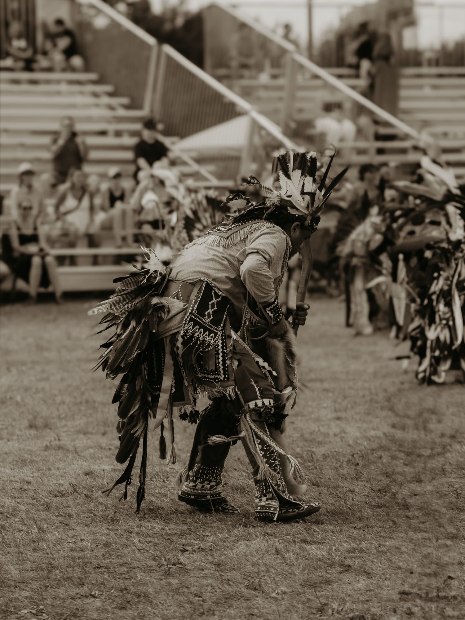 A traditional Native American dancer performing at a powwow in elaborate feathered regalia.