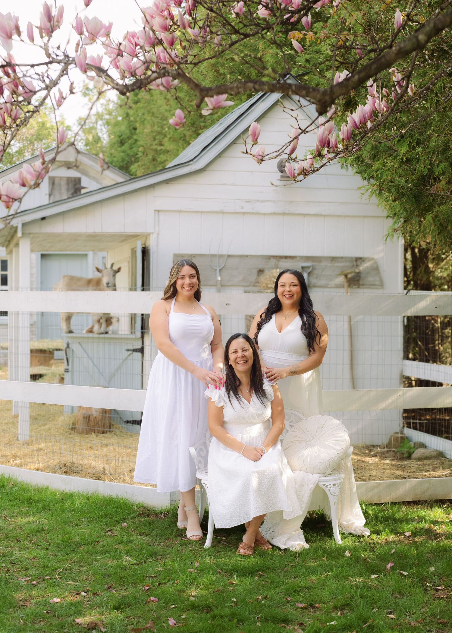 Three women in white dresses pose outdoors near a white barn with blooming pink magnolia trees in spring.