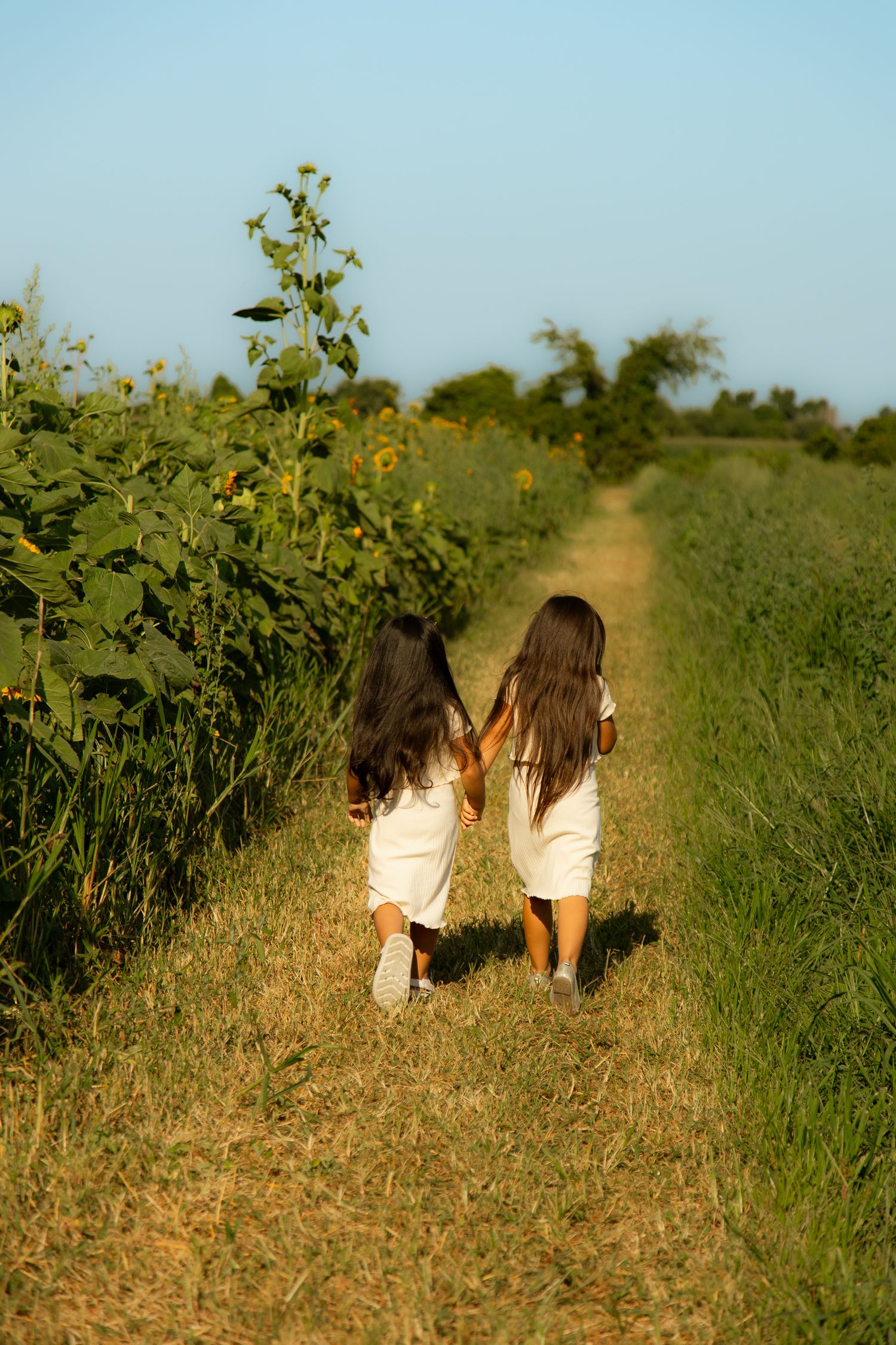 People walking through a scenic path surrounded by tall green plants and wildflowers.
