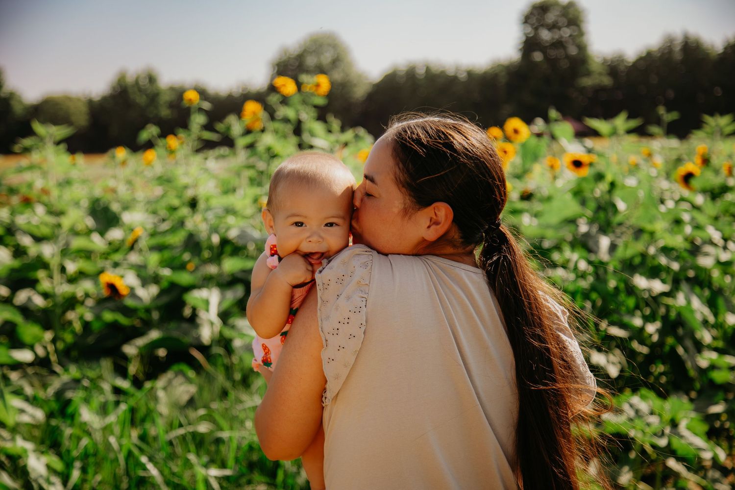 Sweet embrace photographed in a field of sunflowers at sunset.