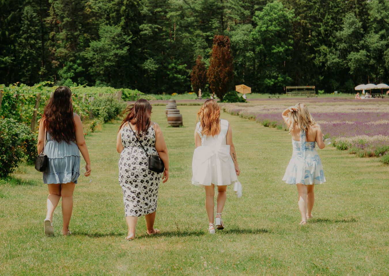 Group walking through garden path with lavender fields in background.