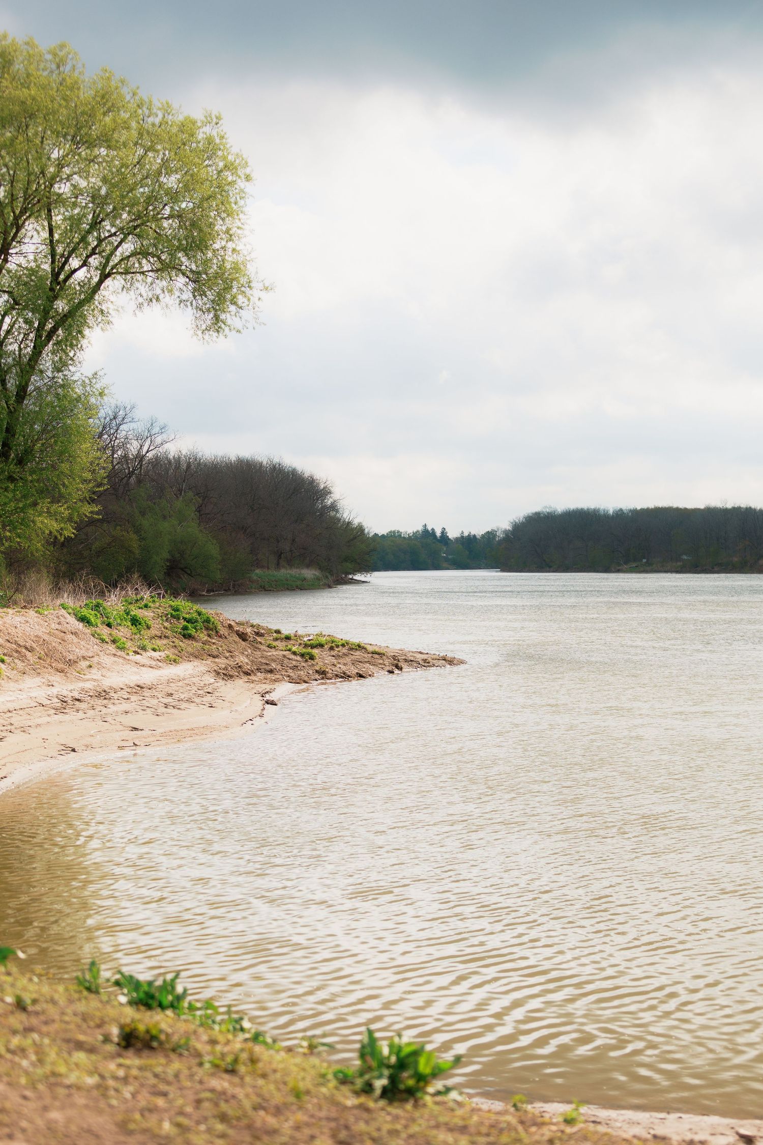 Serene river shoreline with sandy banks, lush green trees, and calm water under an overcast sky.