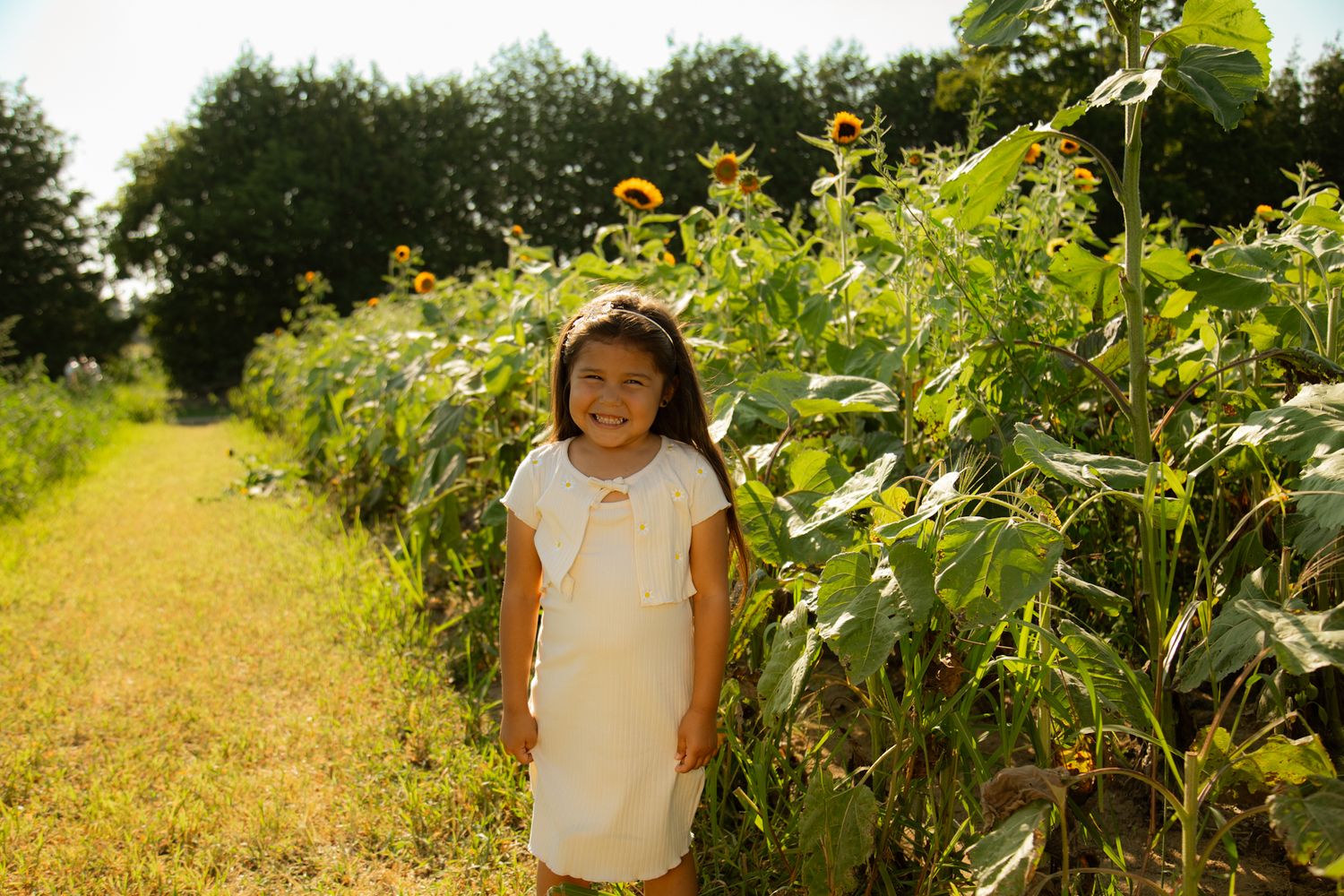 Young child stands beside tall sunflowers on dirt path during sunny day.