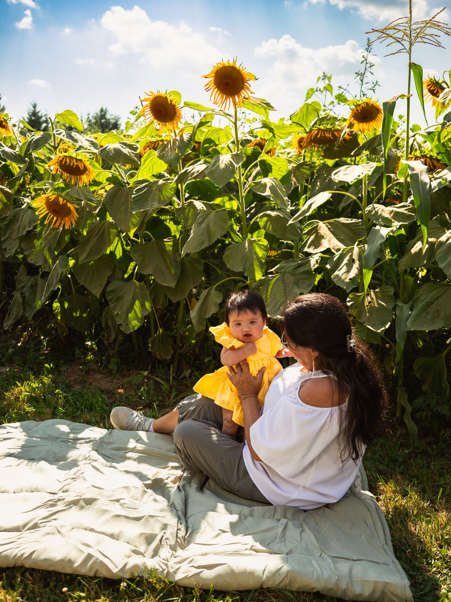 A family relaxes on a white blanket among towering sunflowers on a bright summer day.