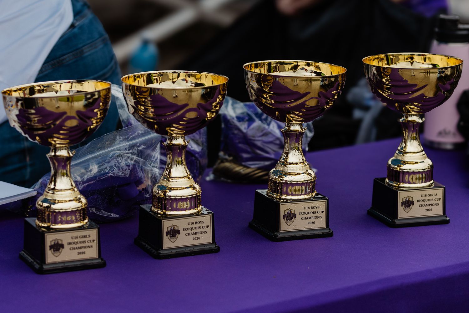 Four gold trophy cups displayed on a purple tablecloth at a sports awards ceremony.