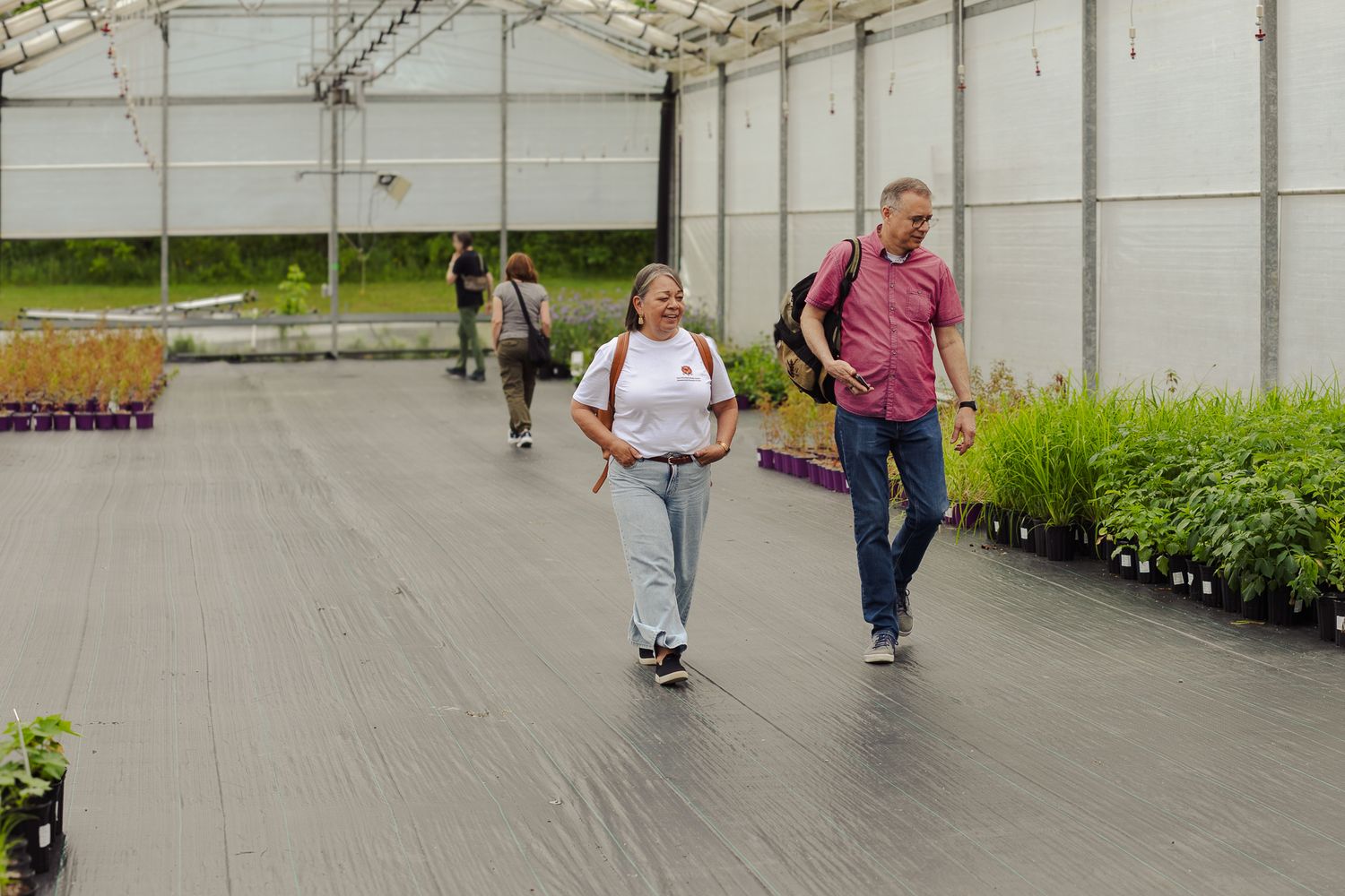 People walking through a large greenhouse nursery with rows of green plants on a cloudy day.