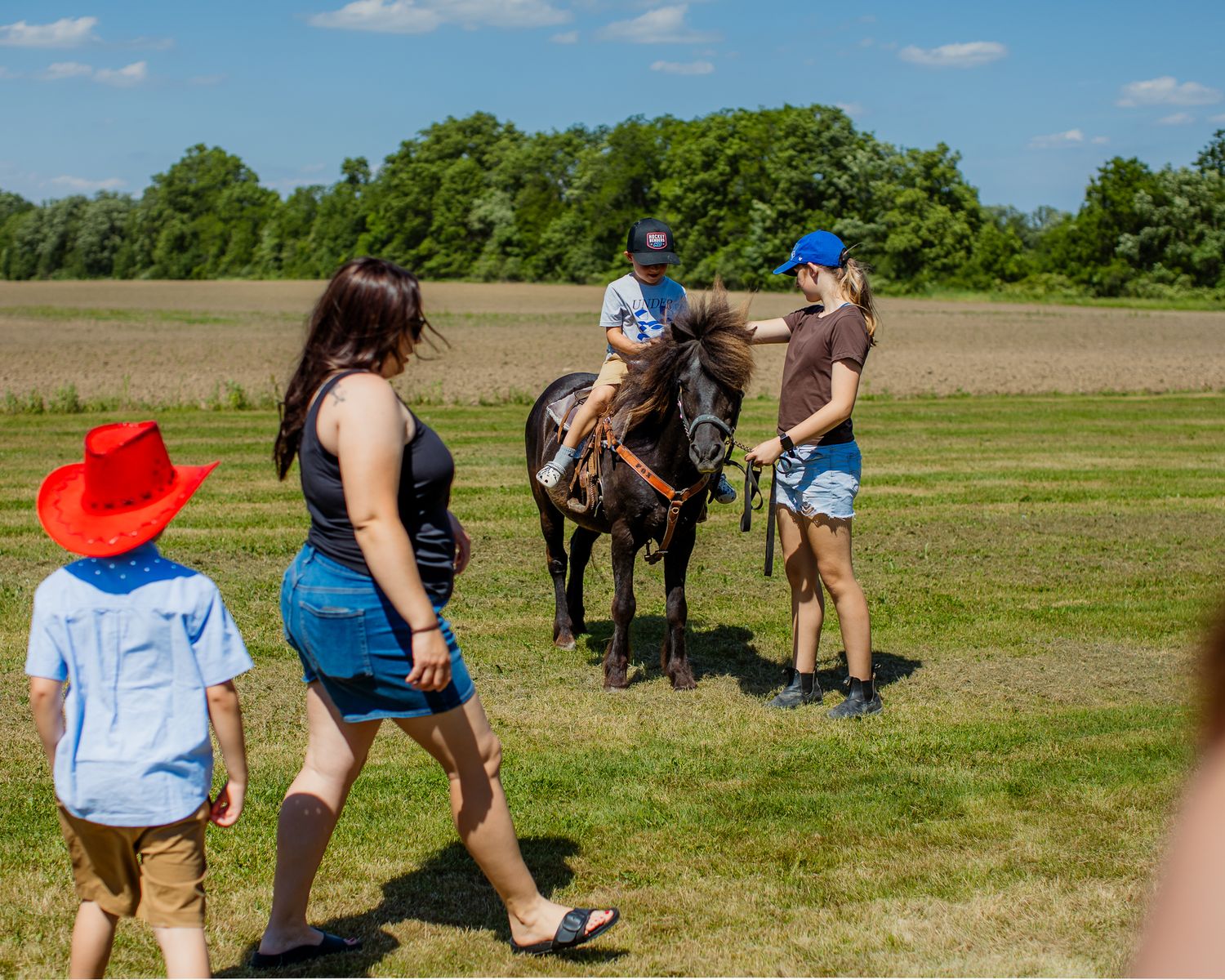 Family walks toward a horse and rider in an open field at a sunny outdoor birthday party event.