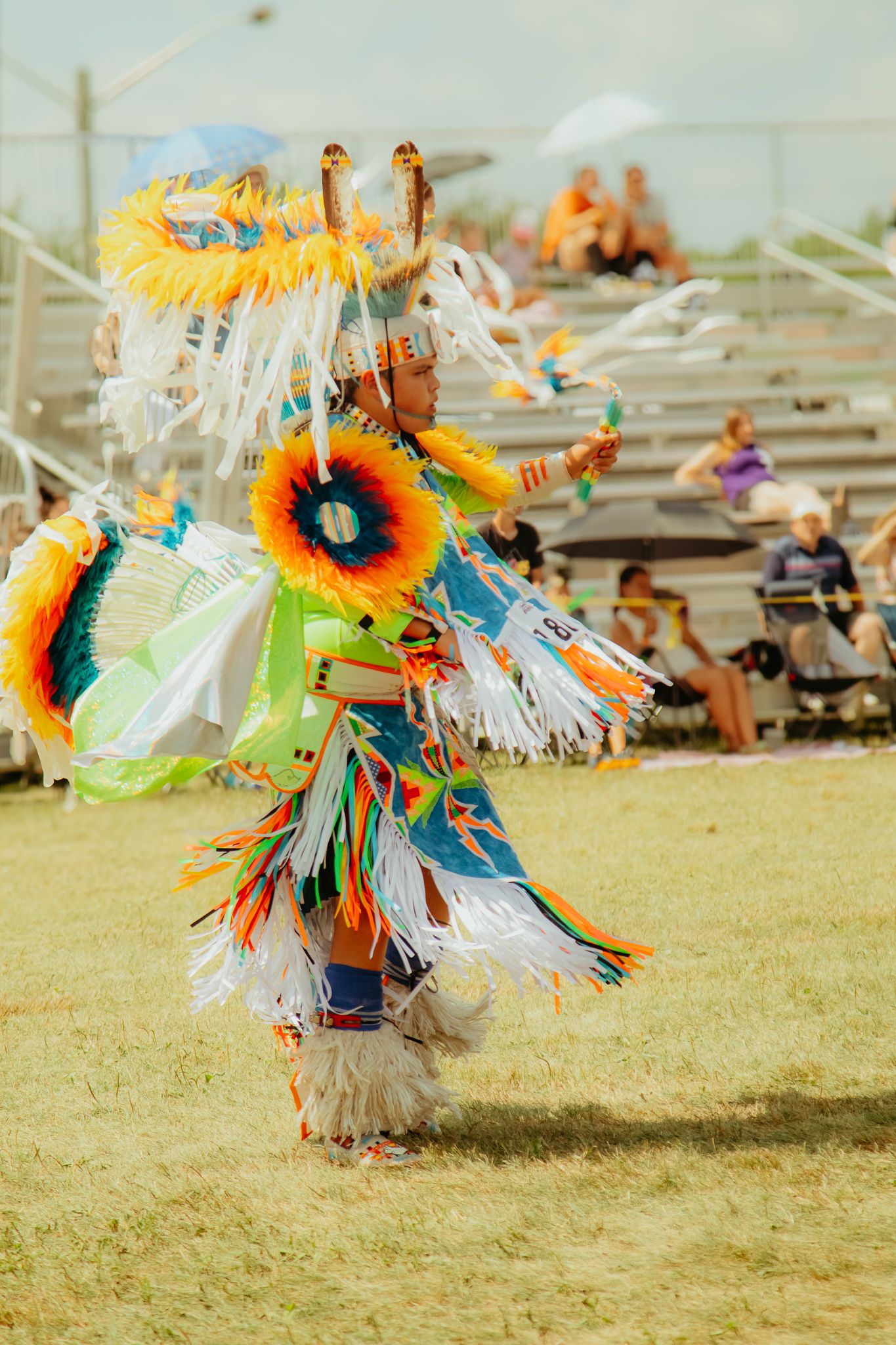 Vibrant feathered regalia in motion during a traditional Native American dance performance.