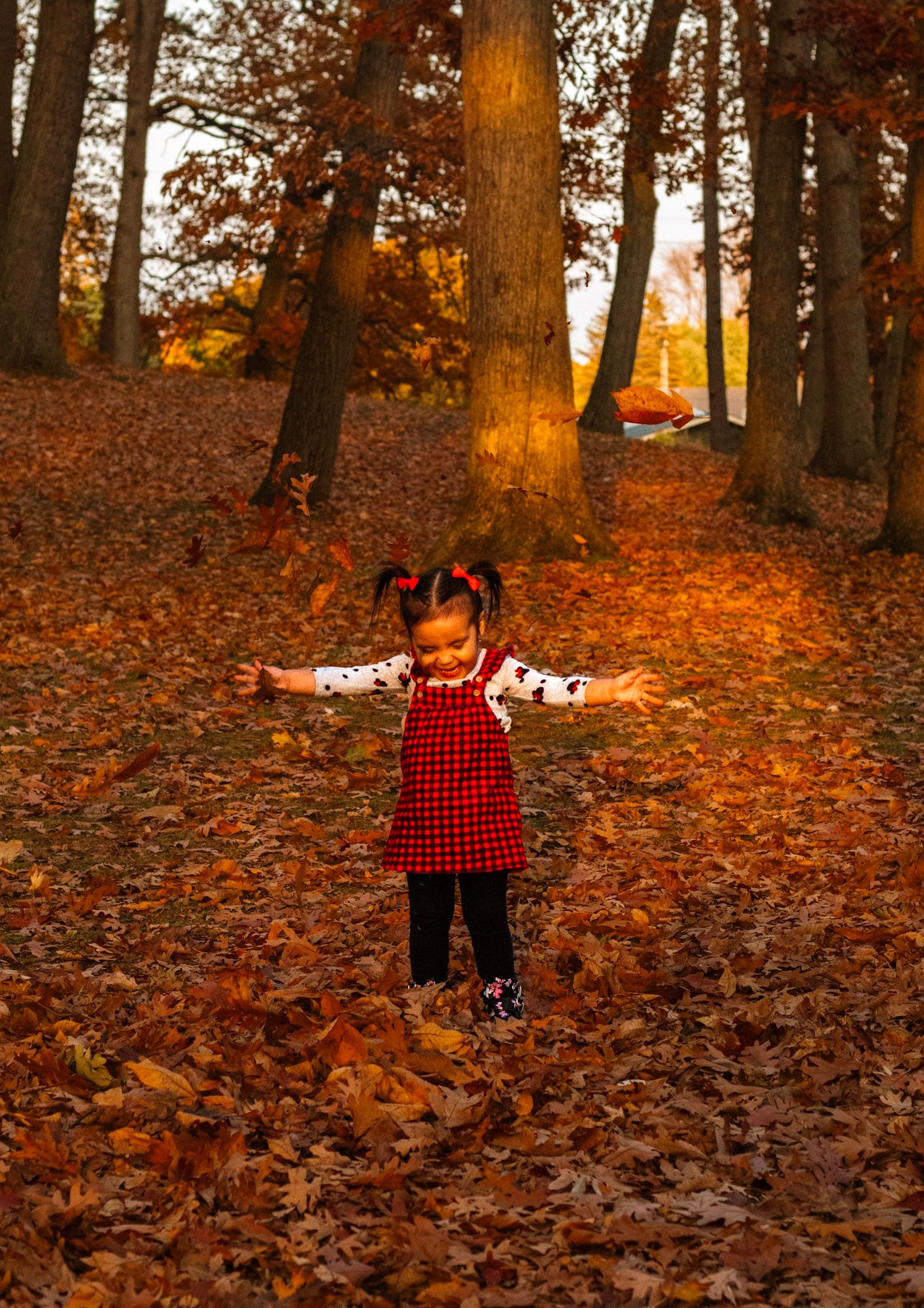Child in red plaid dress stands joyfully among fallen autumn leaves in a forest setting.