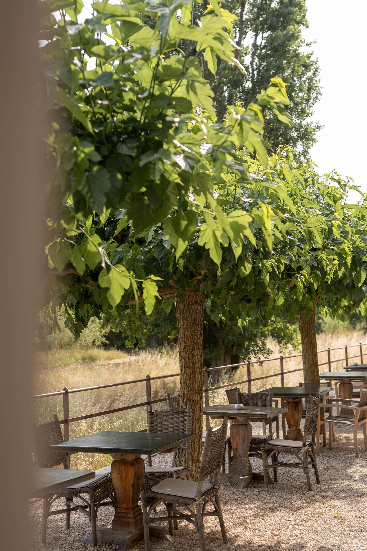 jardin Le Clos des 7 palmiers - Cavalaire sur Mer