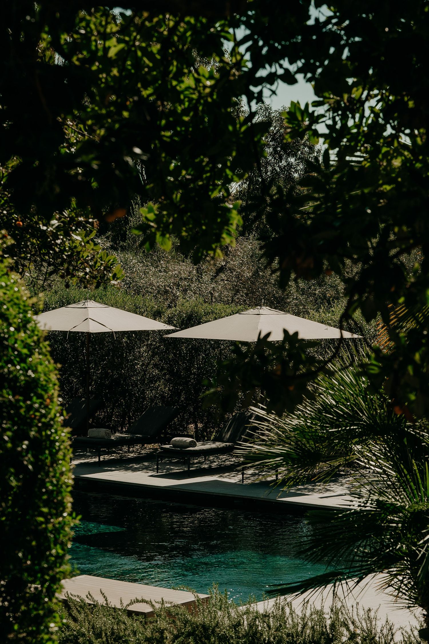 luxury private pool |Domaine Louise | Côte d'Azur