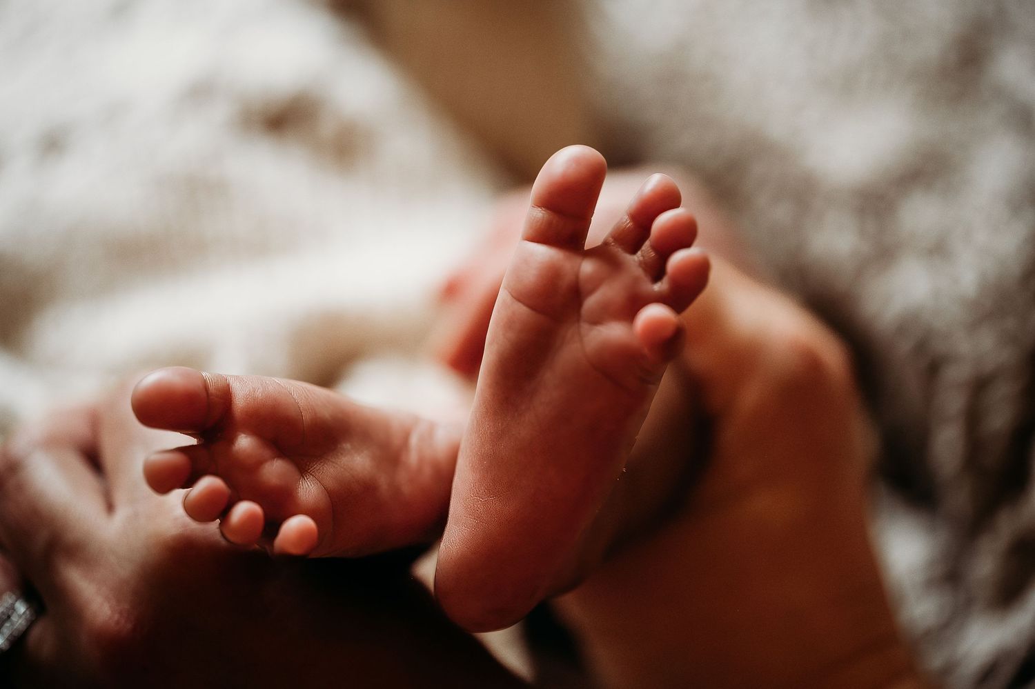 Close-up of a newborn baby tiny feet held gently by an adult hand on soft blanket.