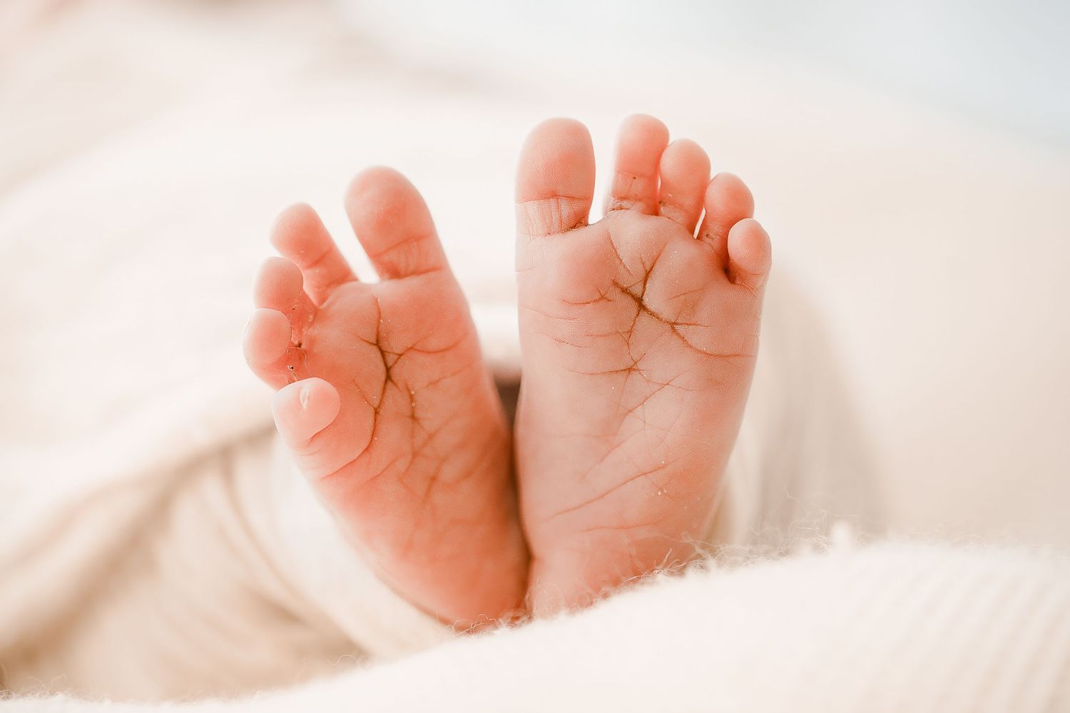 Close-up of tiny newborn baby feet resting on a soft white blanket.