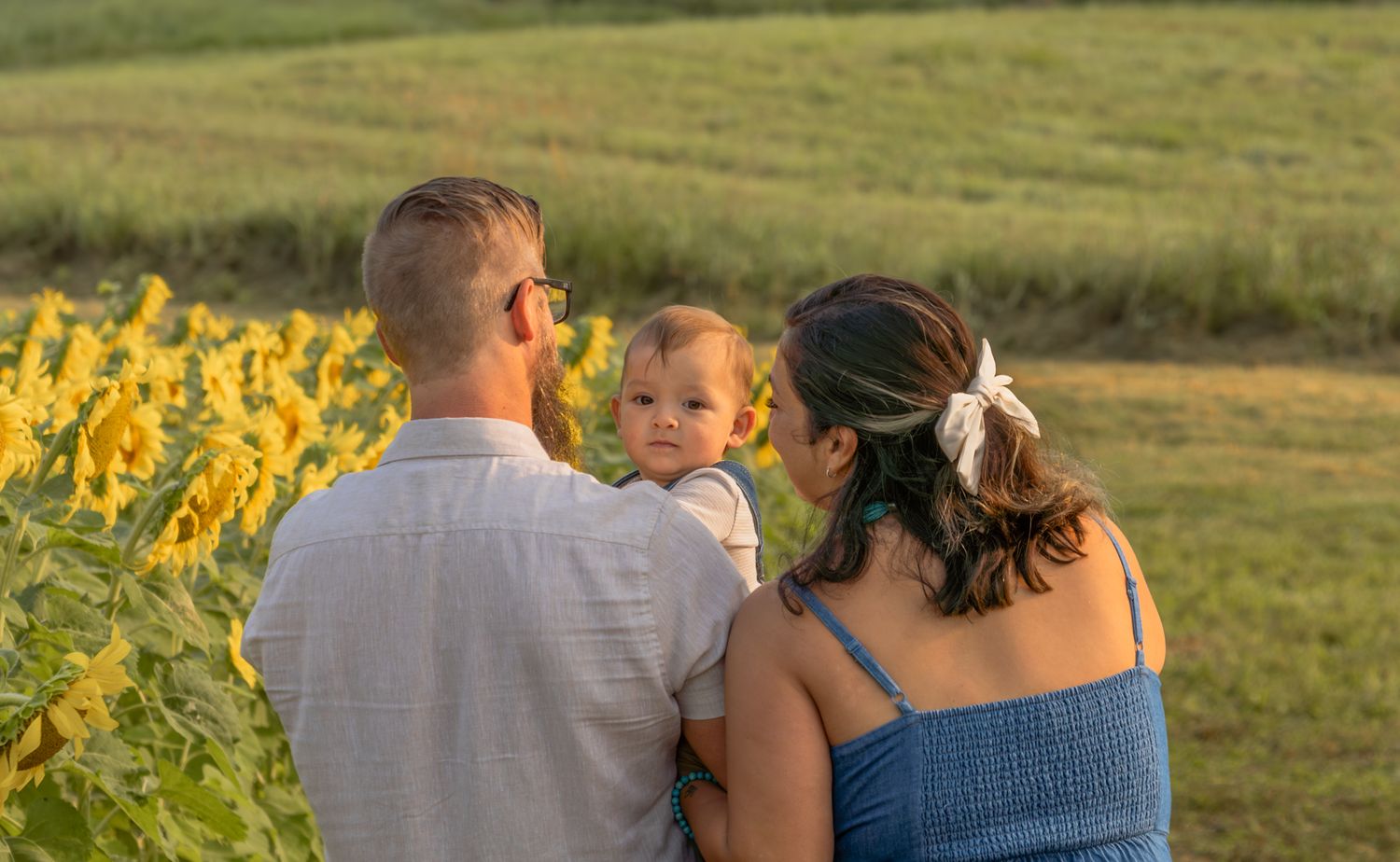 People walking through a scenic field with golden sunflowers in the background.