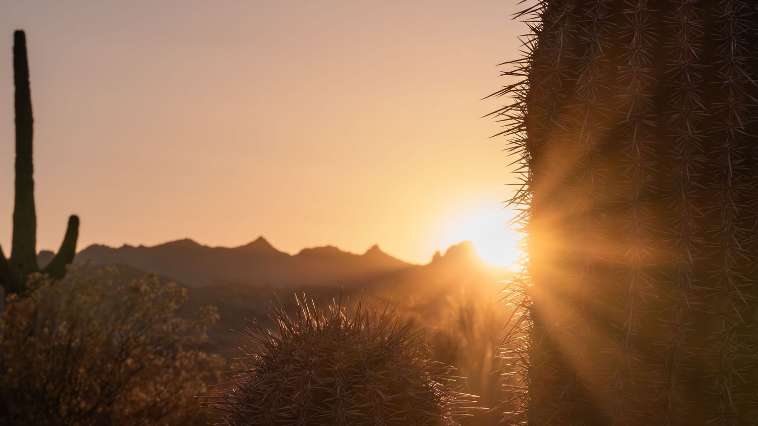 Desert mountain silhouette with saguaro cactus against a glowing sunset sky.