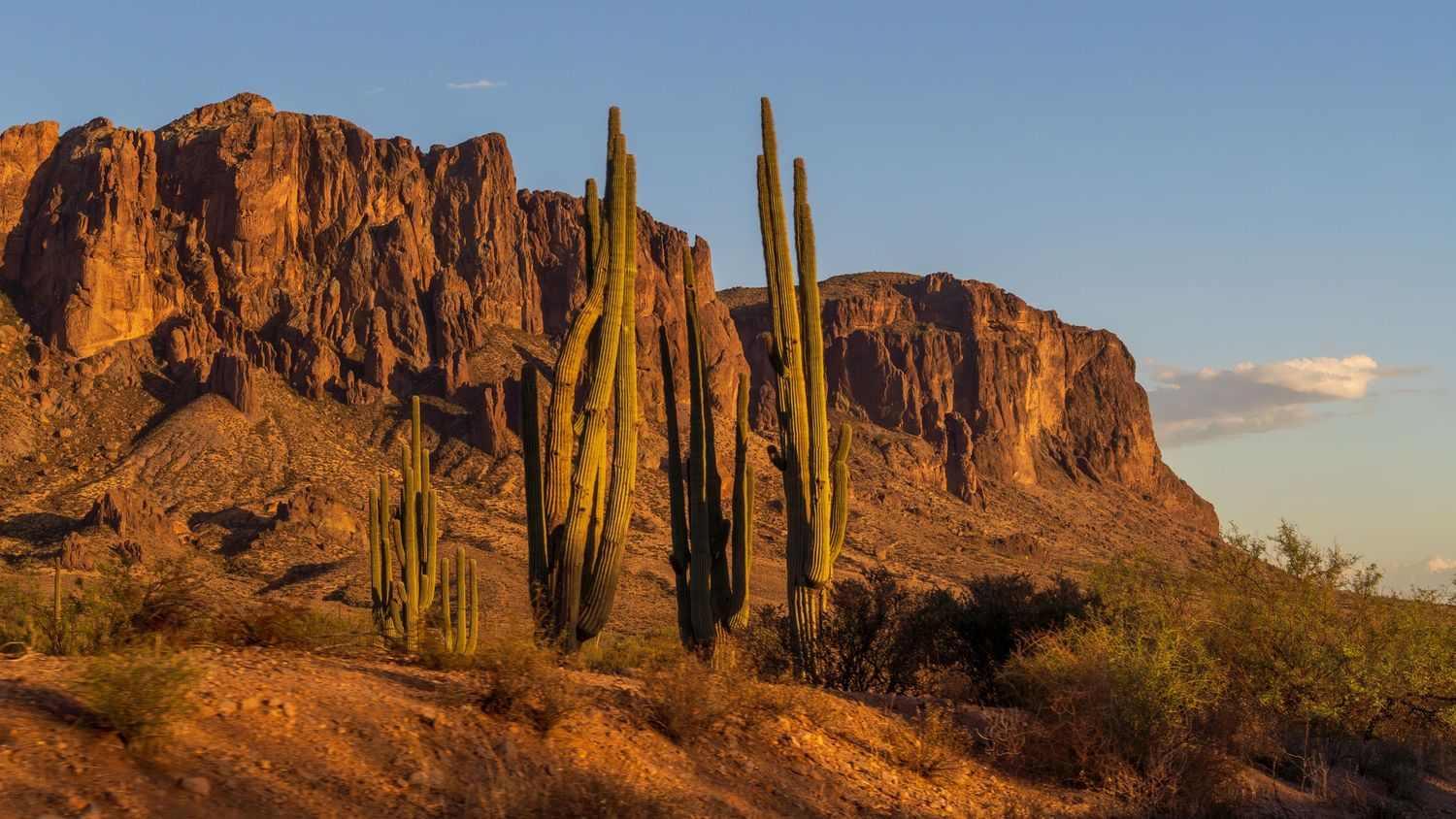 Panoramic view of red rock formations and saguaro cacti in the Sonoran Desert at sunset.