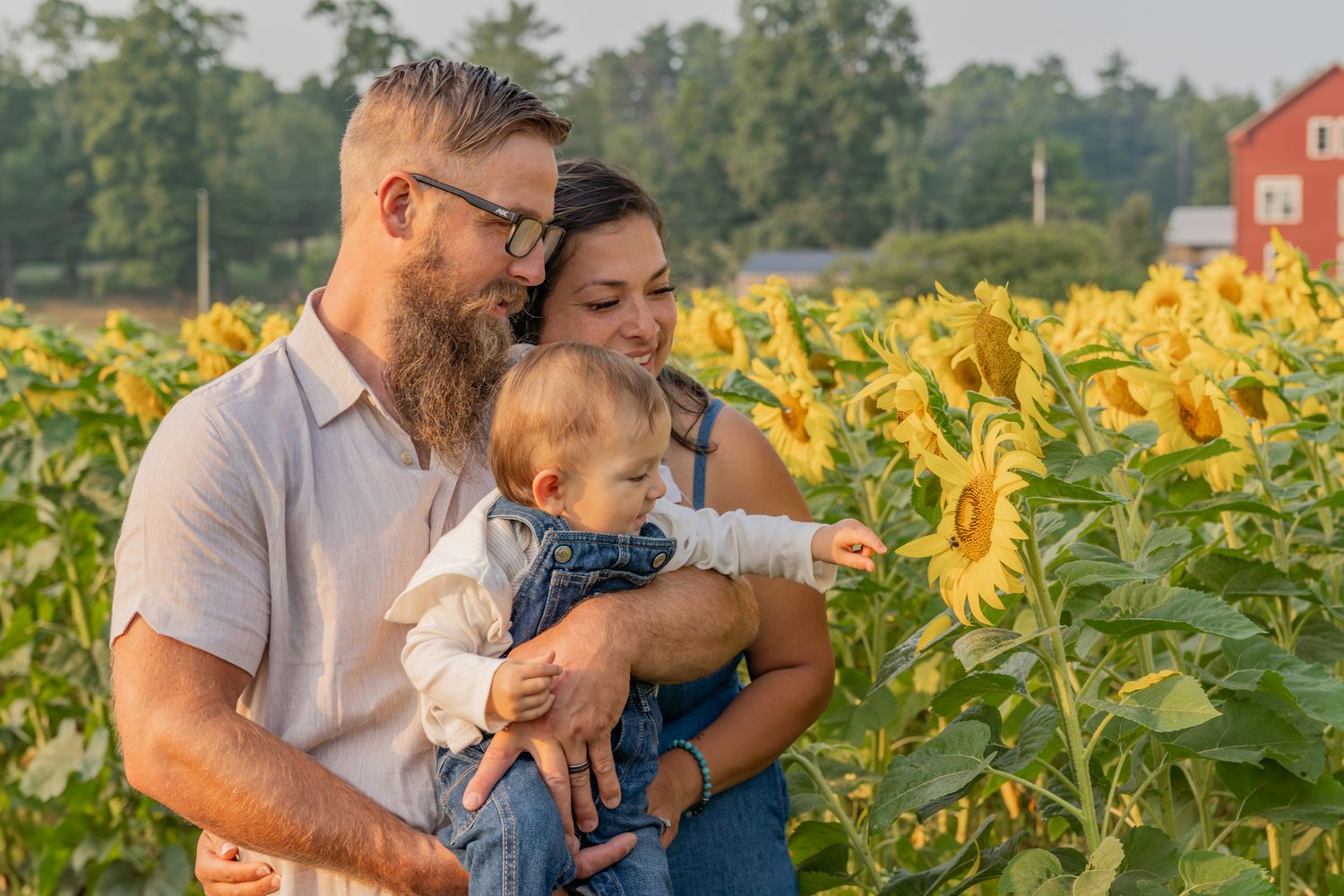 Family enjoying time together in a vibrant sunflower field during sunset.
