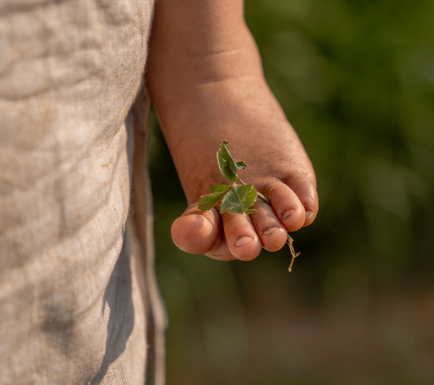 Close-up detail of small hands holding tiny green plant sprouts.
