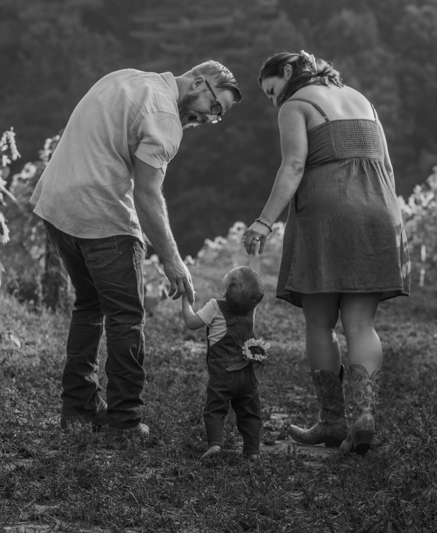 Black and white image of people bending down working in a garden or field.