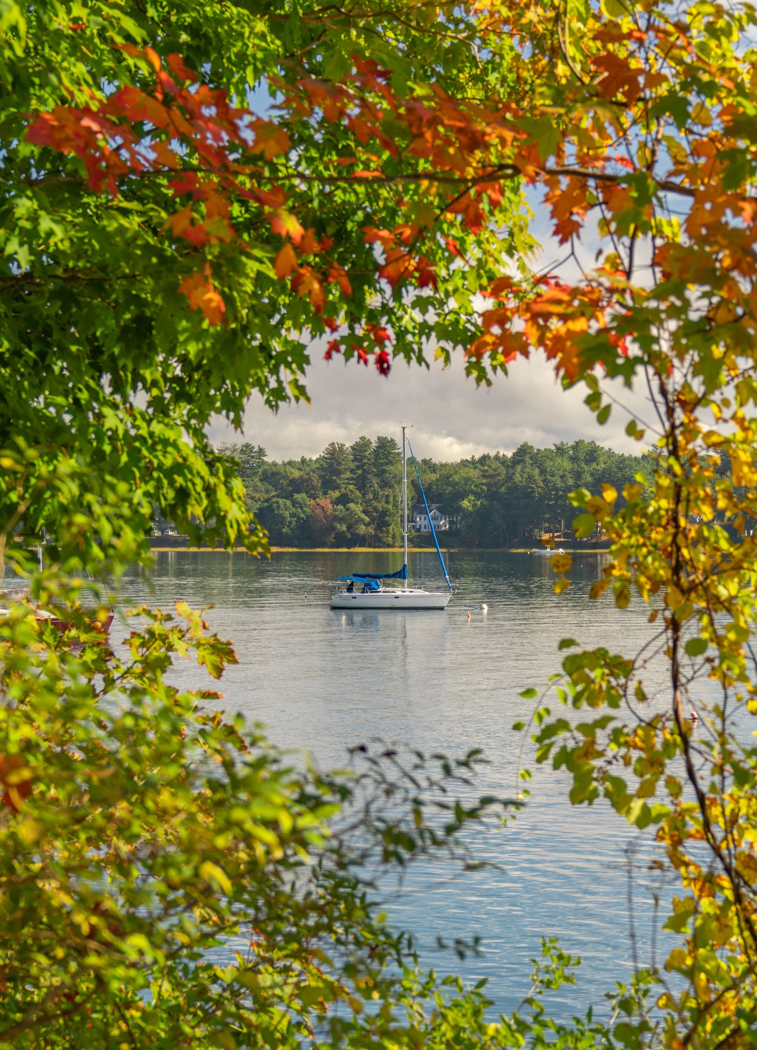 Autumn leaves frame peaceful lake view with sailboats moored in distance.