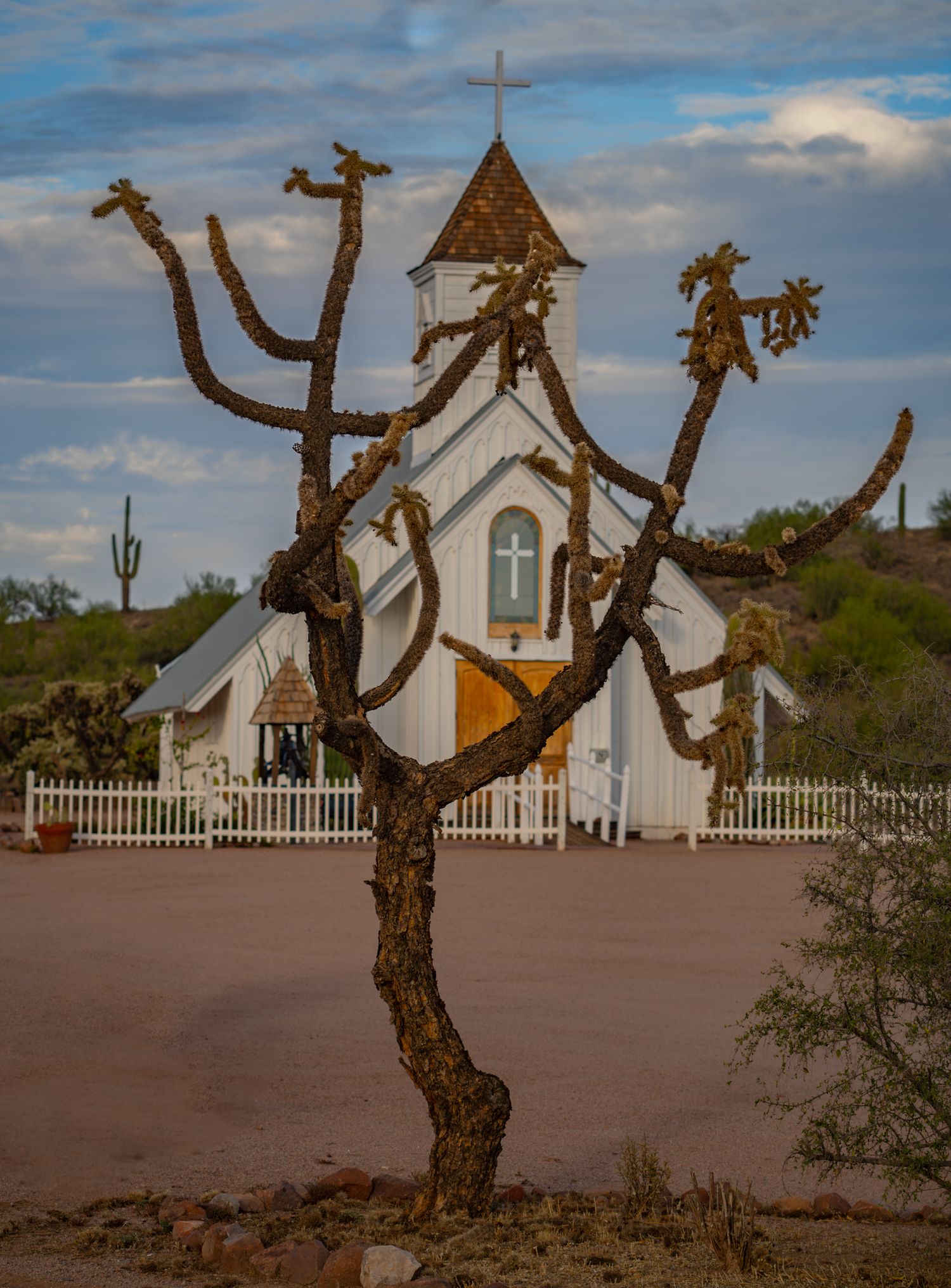 White desert chapel with bell tower stands behind twisted desert trees and white picket fence.