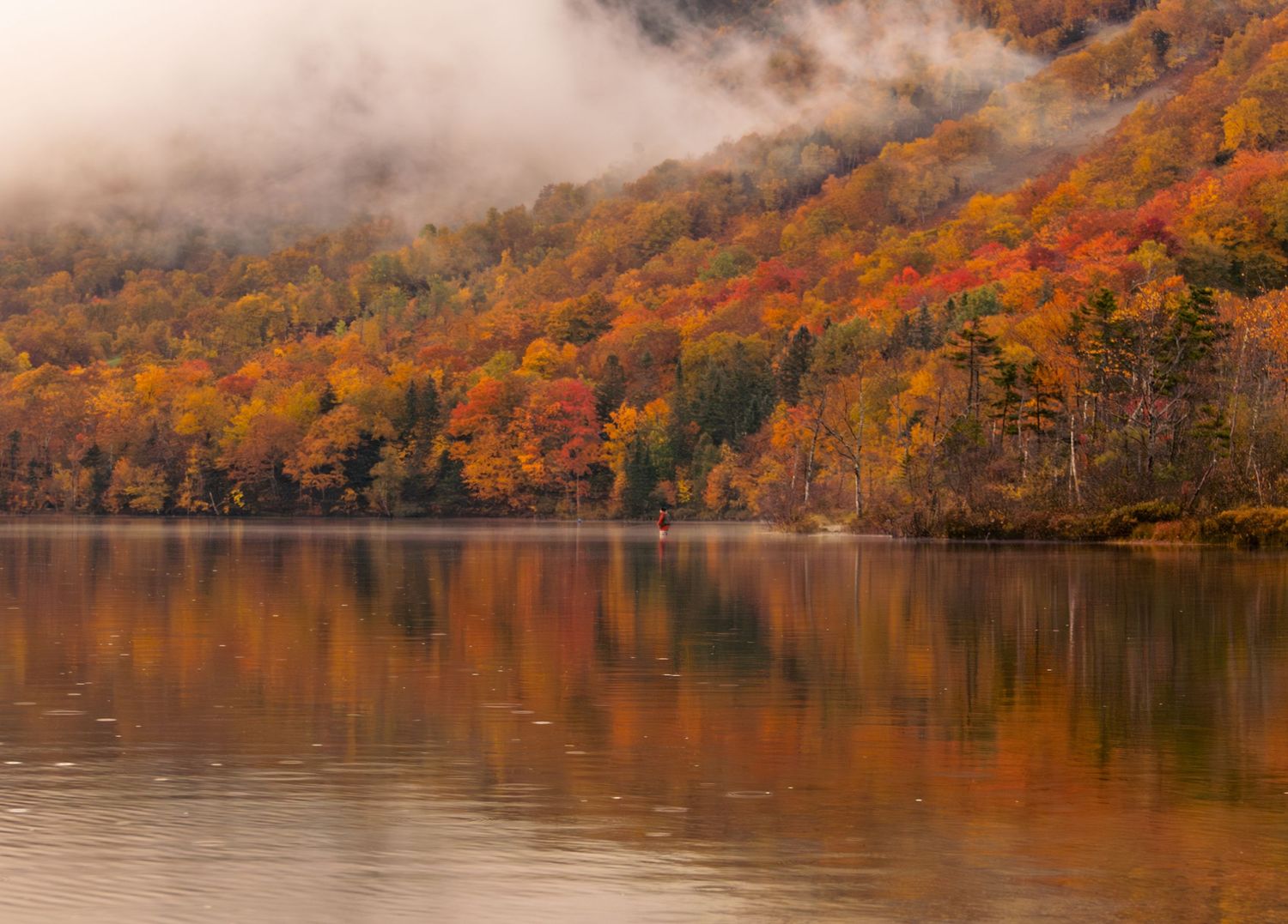 Panoramic view of a lake surrounded by autumn trees displaying vibrant fall colors.