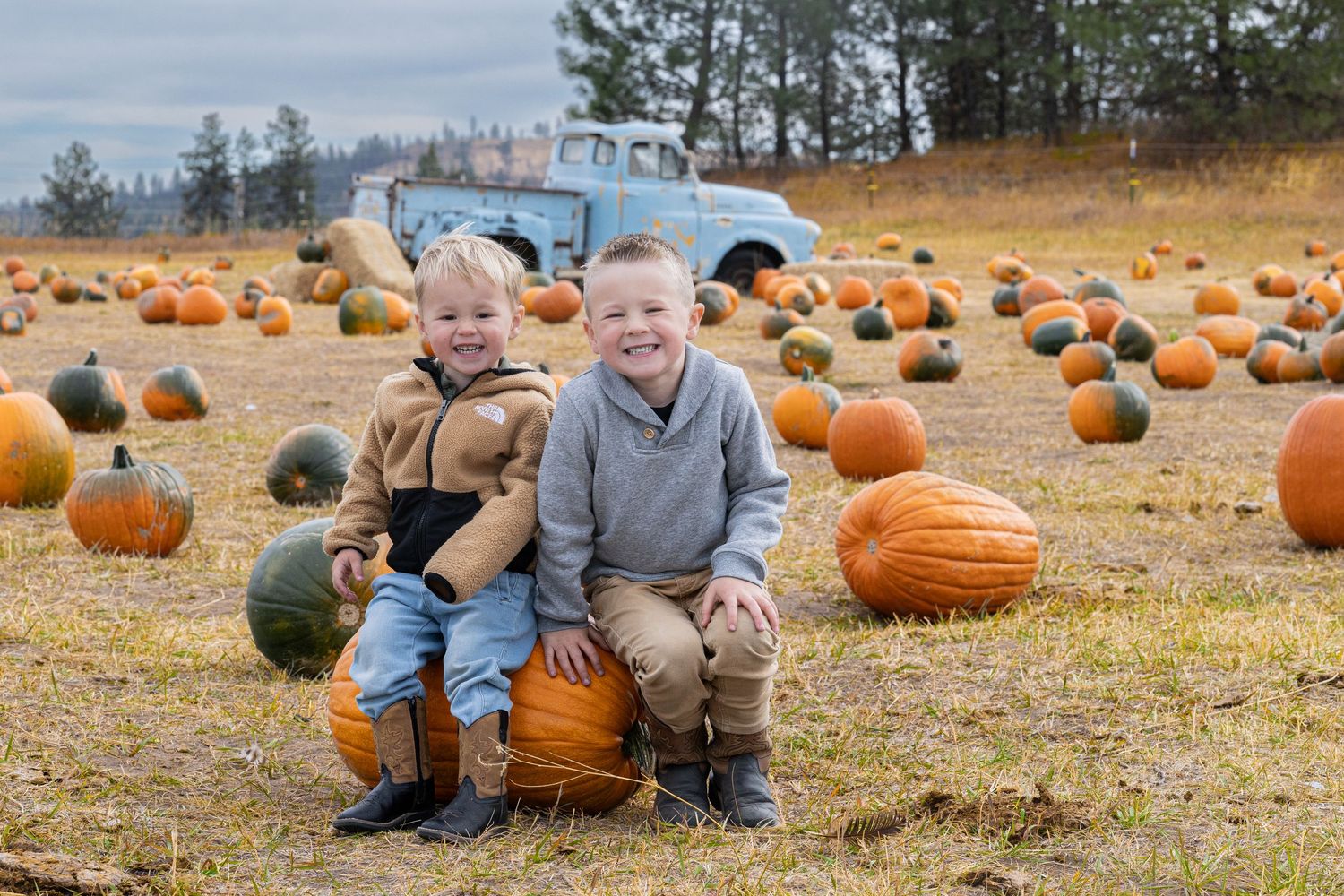 Two smiling young boys sit on a large orange pumpkin in a pumpkin patch with a vintage blue pickup truck in the background.