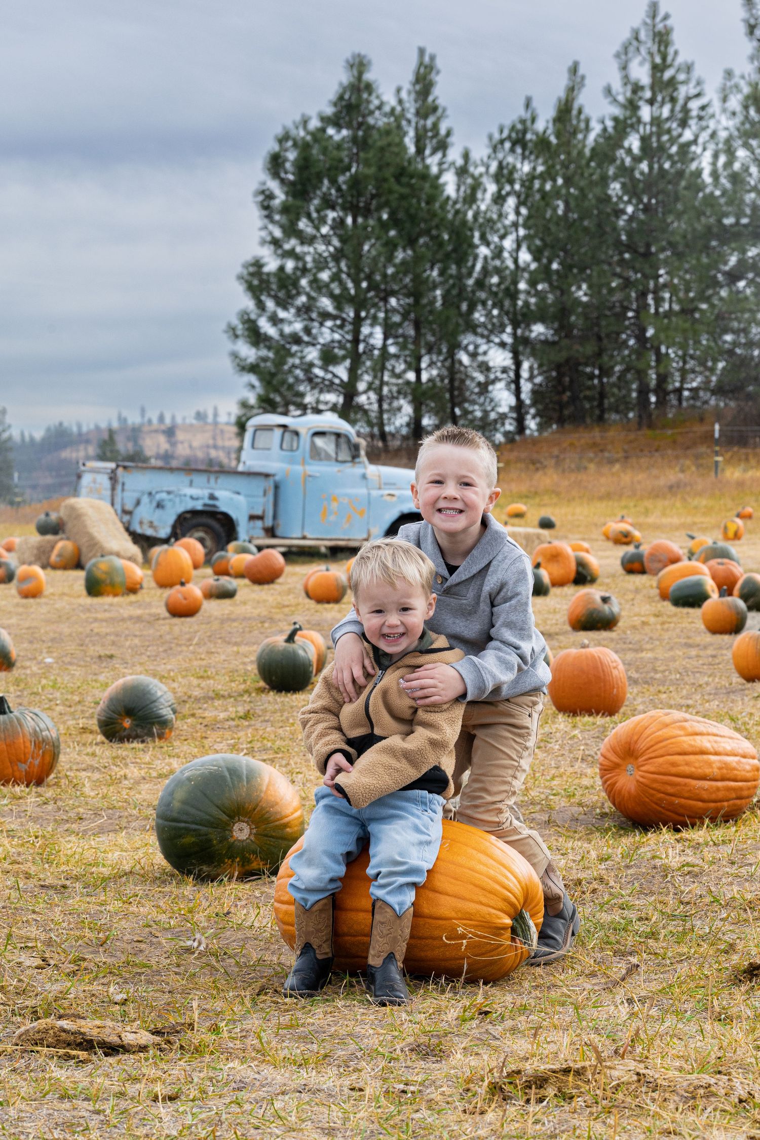 Two smiling boys hug while sitting on a large pumpkin in a field of pumpkins with a vintage blue pickup truck and pine trees behind them.
