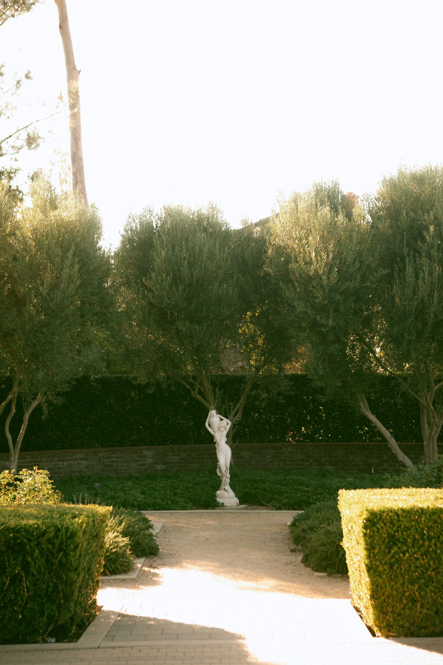 Sunlit formal garden path with classical white statue surrounded by trimmed hedges and olive trees.