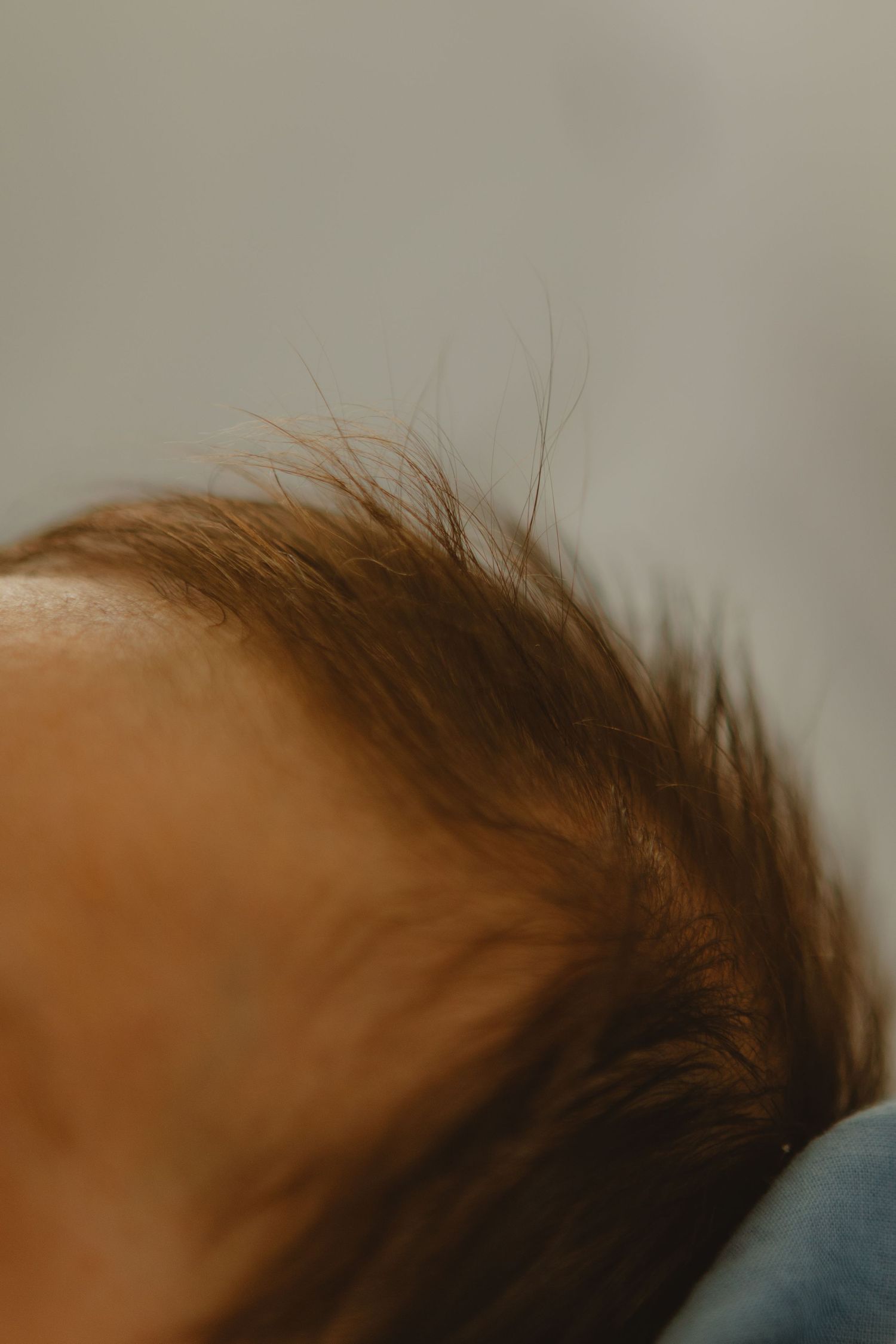 Extreme close-up macro shot of newborn baby's soft brown hair on head.