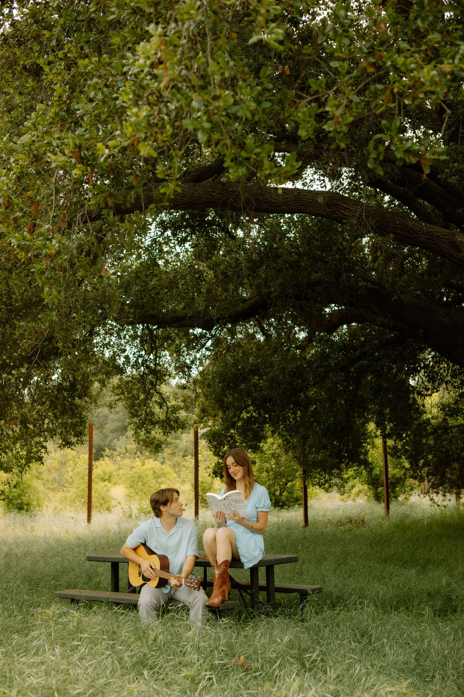 Couple relaxing under oak tree, man playing guitar while woman reads book at picnic table.