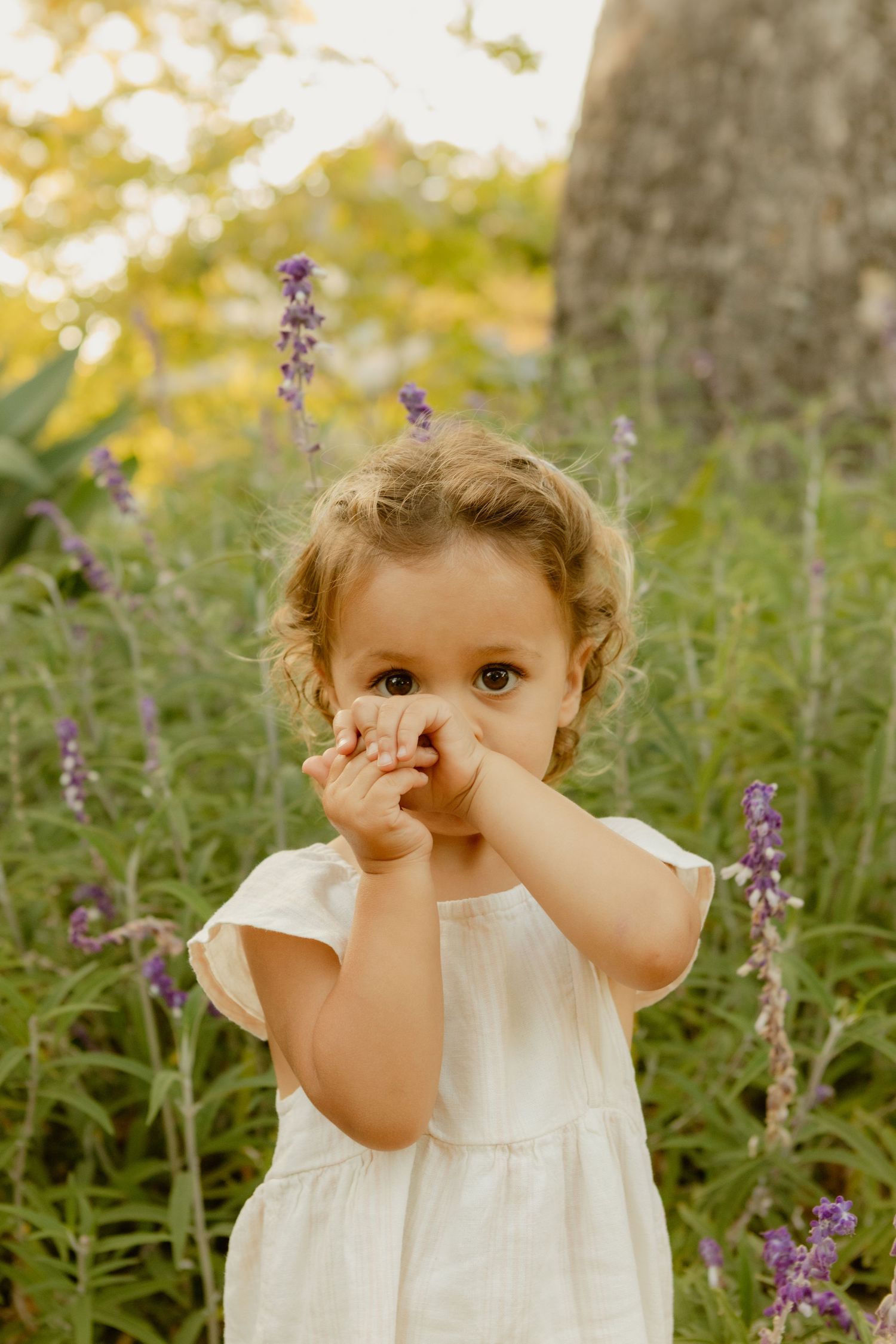 Adorable toddler girl in white dress covering mouth with hands standing in field of purple wildflowers.