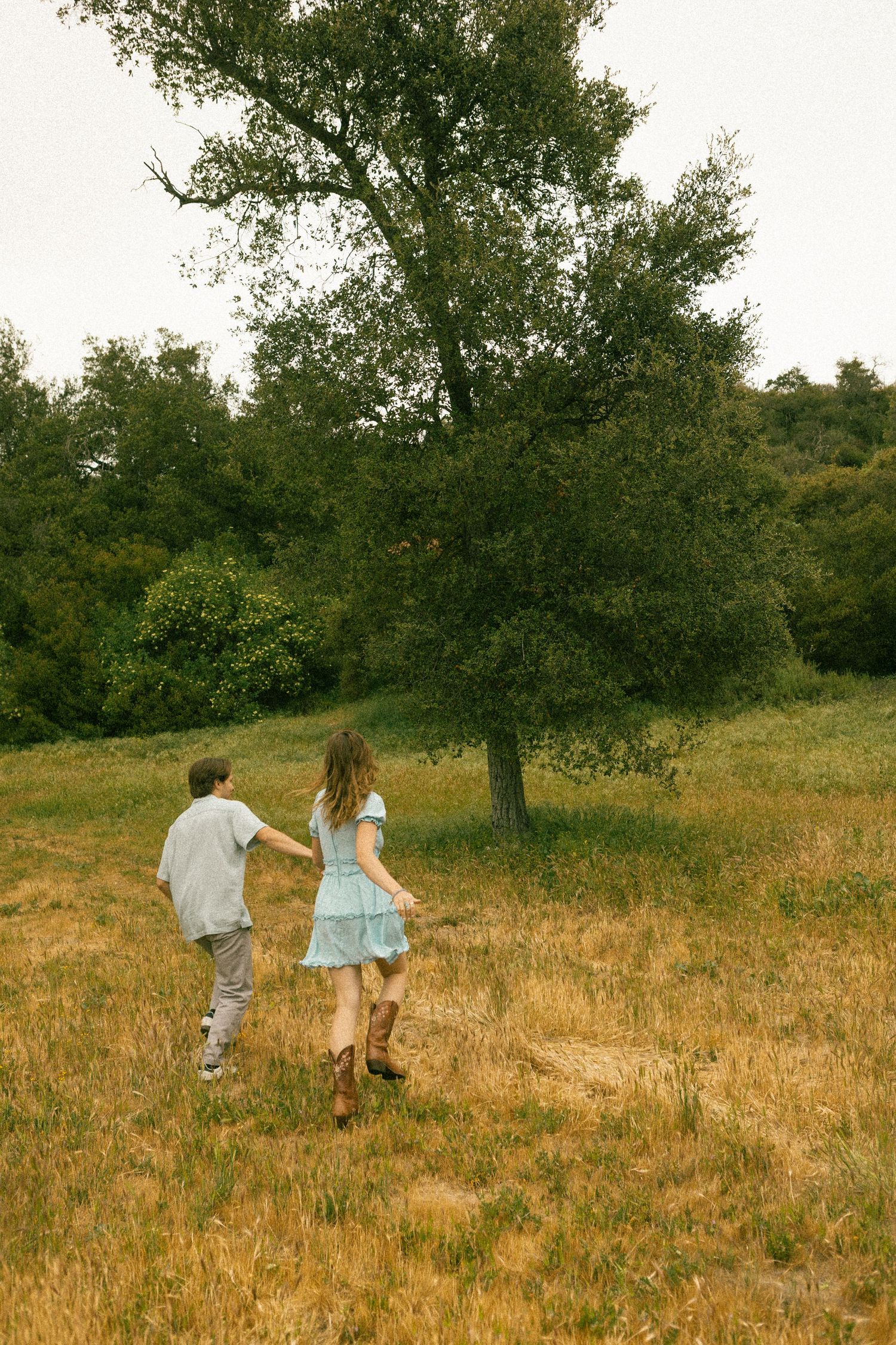 Couple holding hands walking through golden meadow toward large green tree on overcast day.
