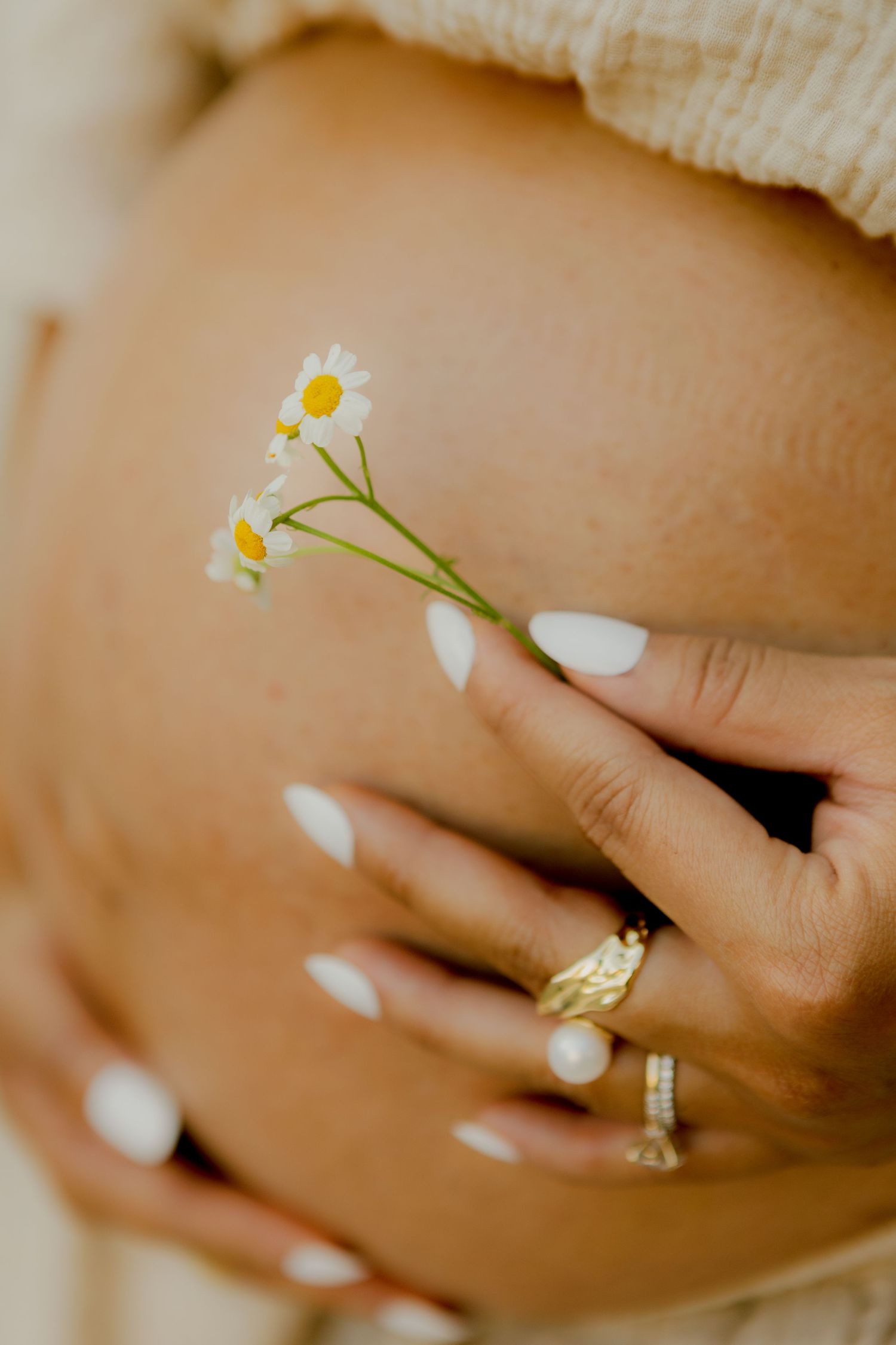 Close-up of pregnant belly with woman holding delicate daisy flowers, wearing gold rings.