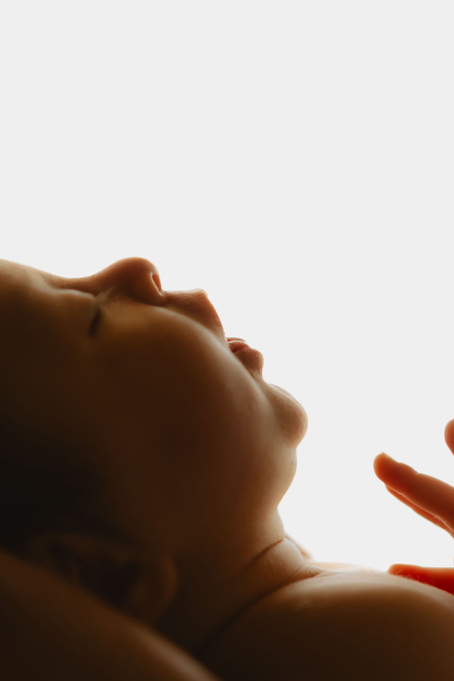 Artistic silhouette profile of peaceful sleeping newborn baby against bright white background.