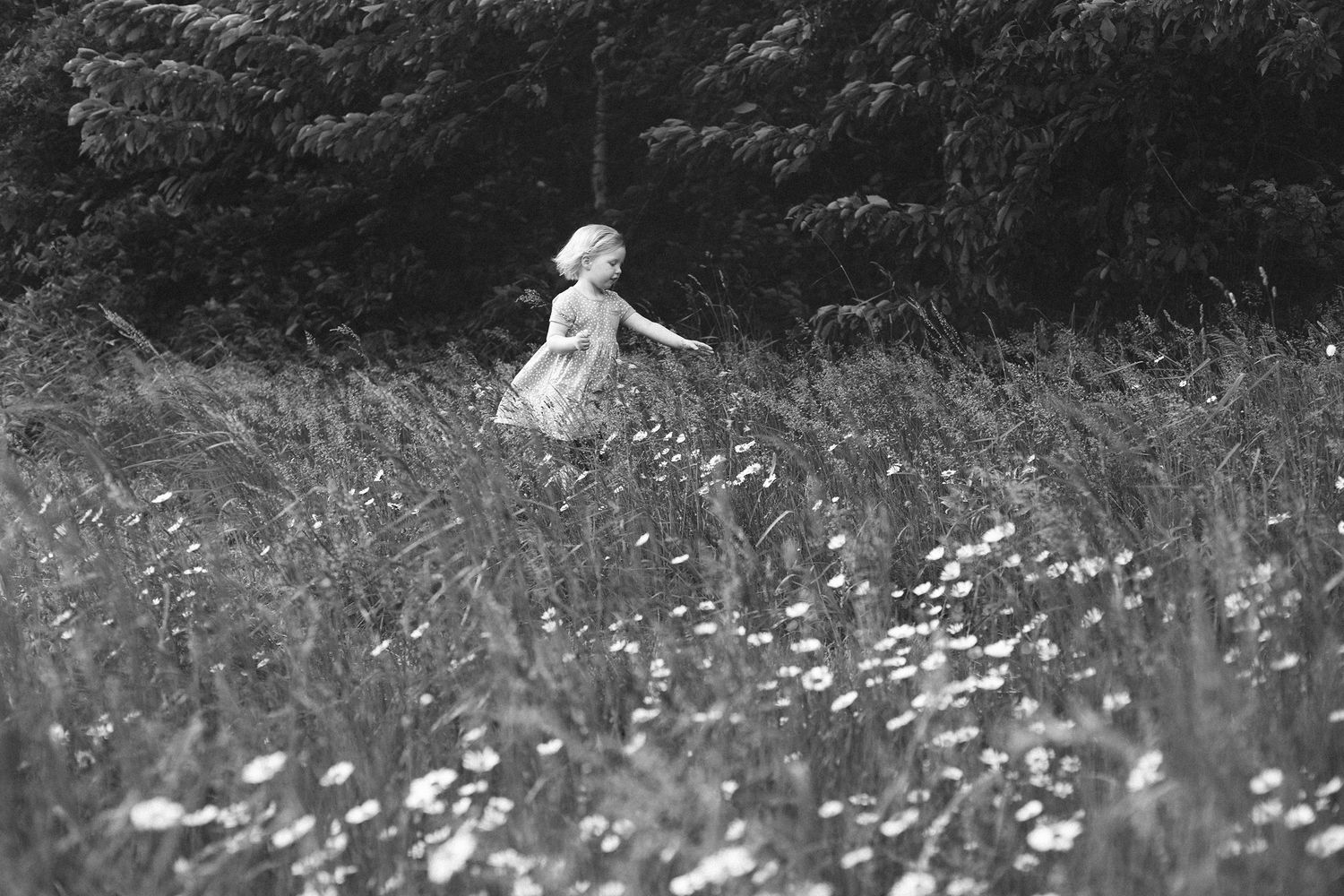 Series of black and white shots showing child in daisy-filled meadow.