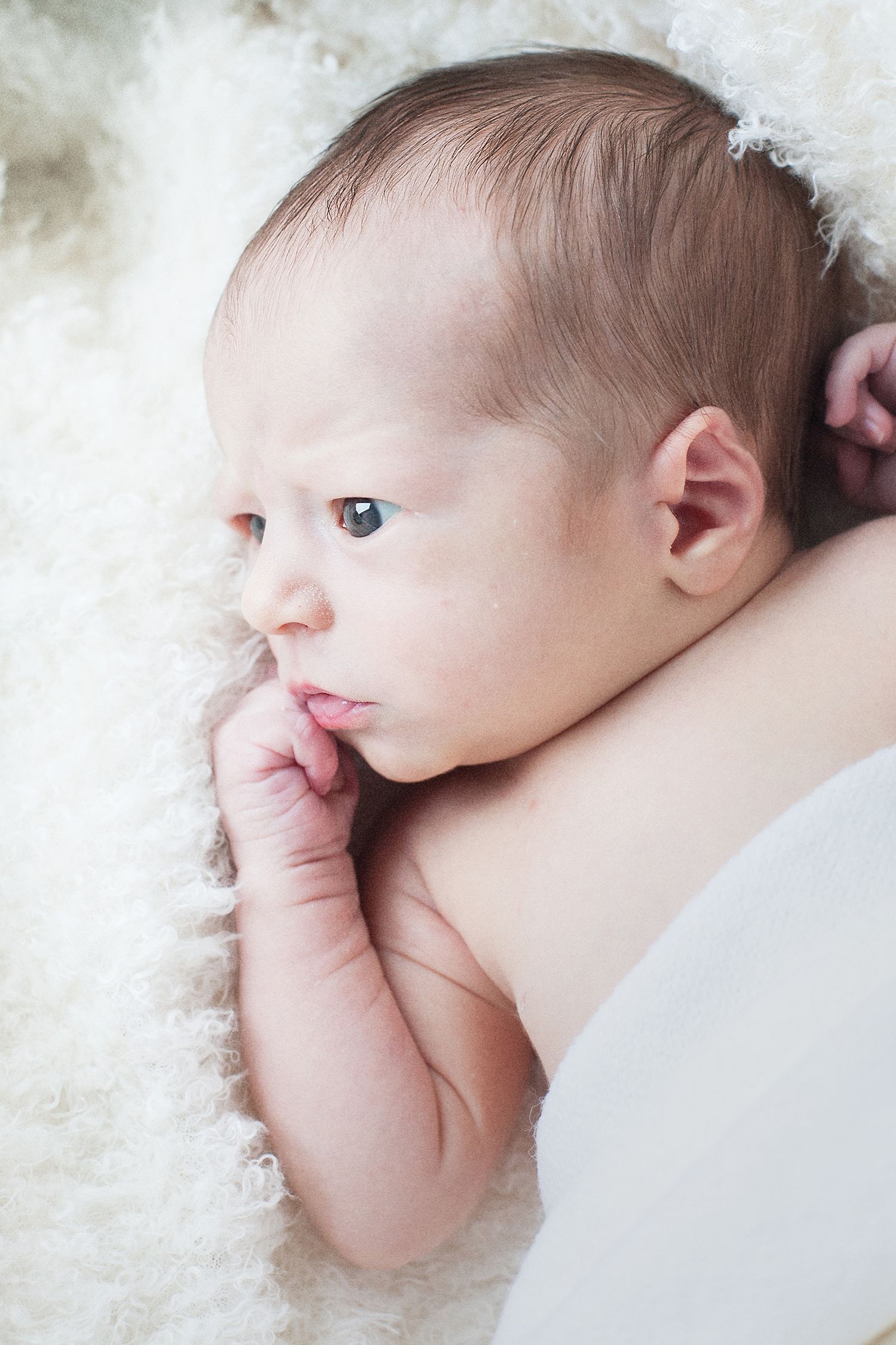 Side profile of newborn baby with tiny hand near face on white blanket.