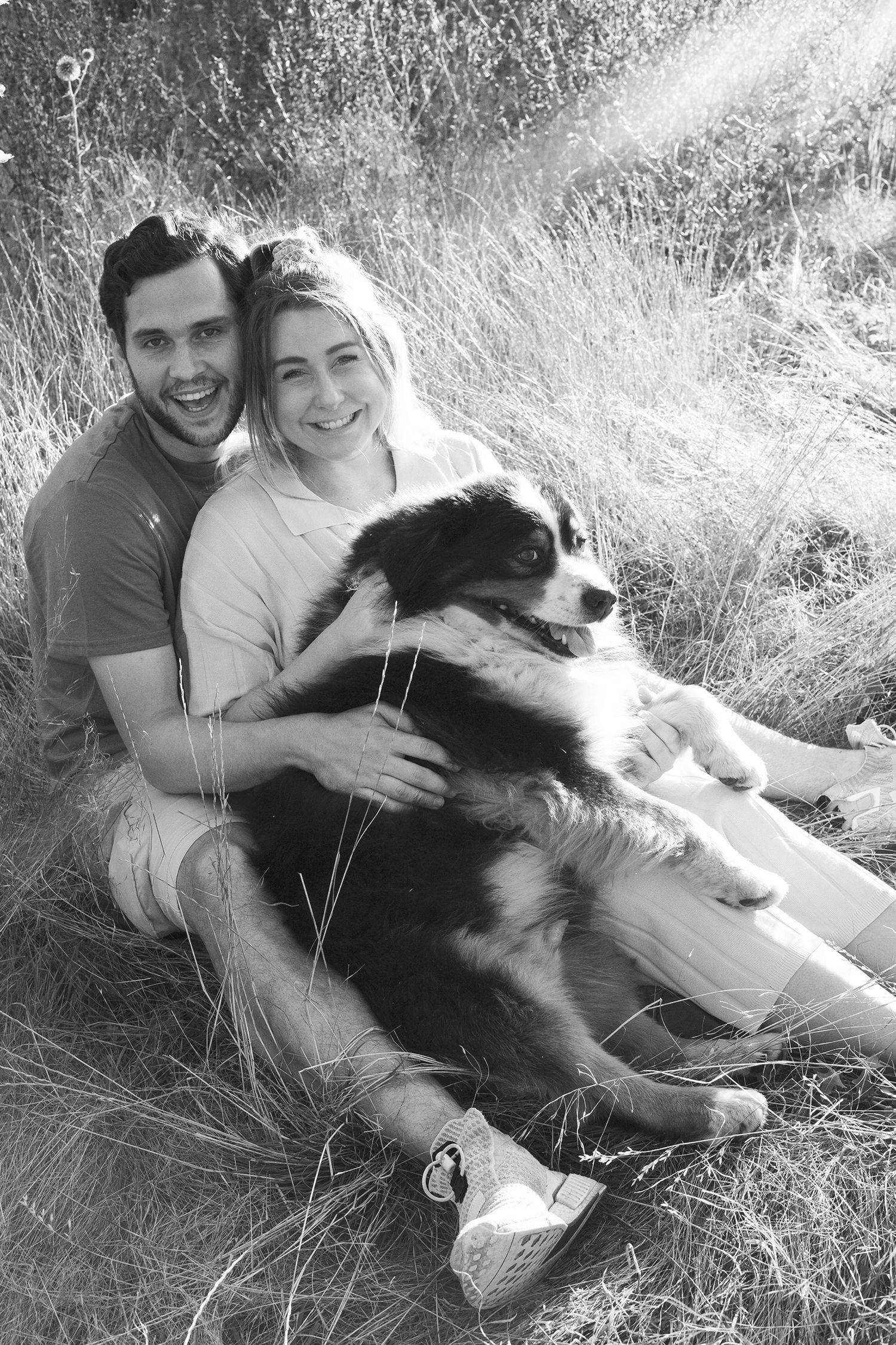 A couple sits in tall grass with their black and white border collie on a sunny day.