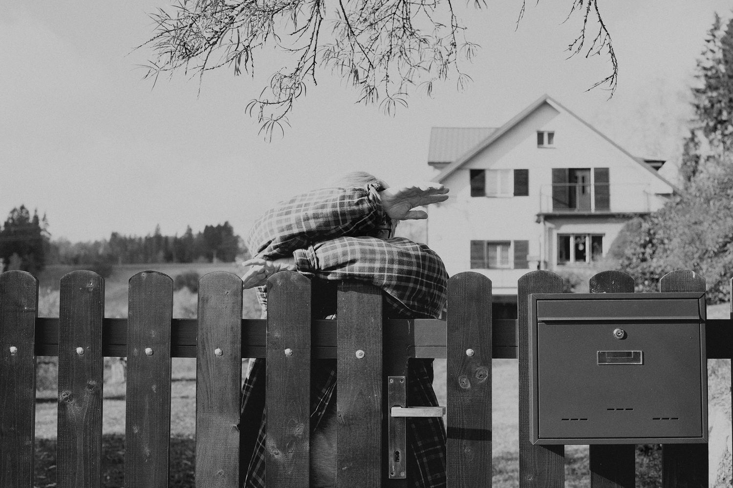 Row of mailboxes along a rural road with houses in the background.