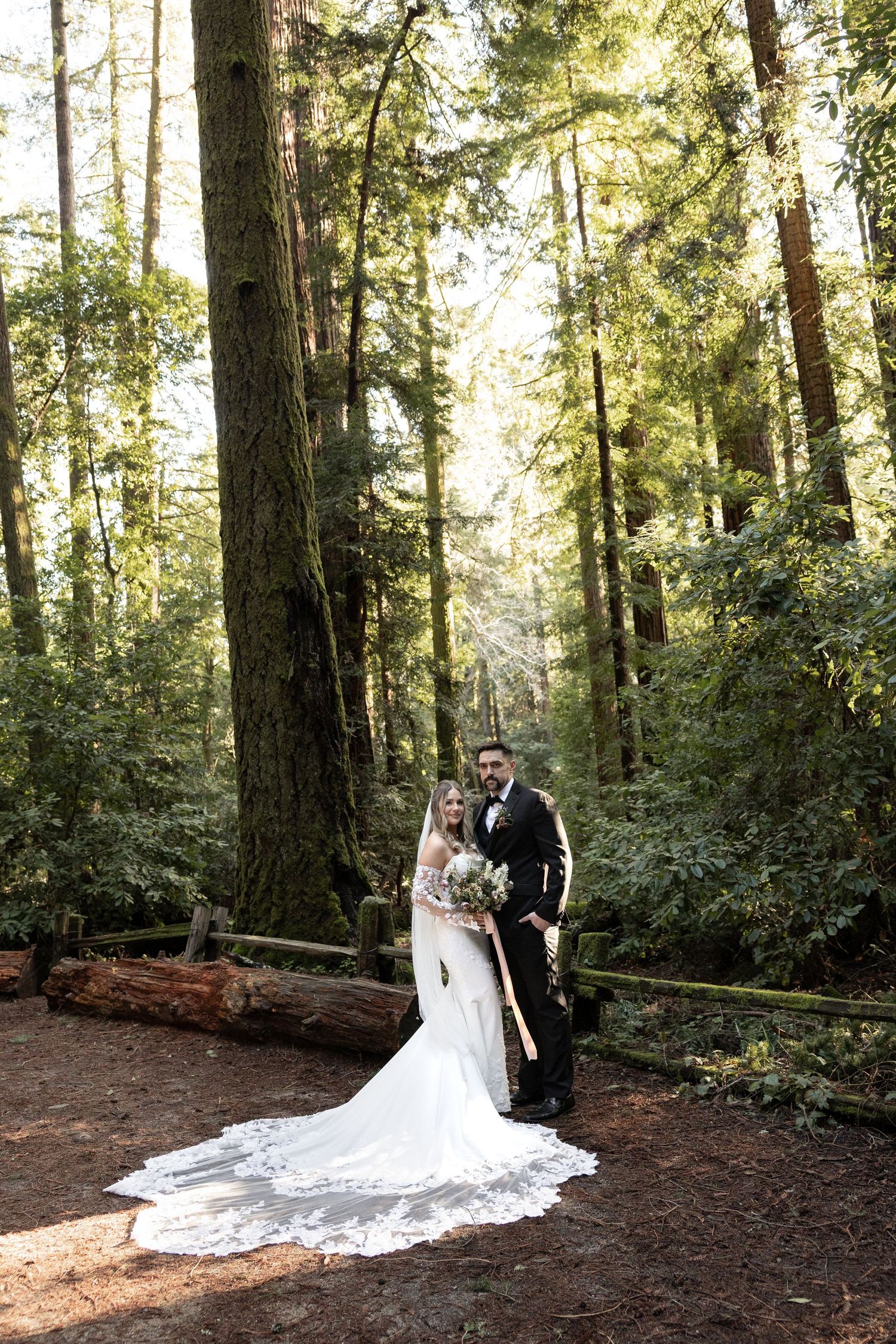 Couple pose in a sunlit redwood forest, bride in lace gown with train, groom in black tuxedo by Taylor Zimmerman Photo