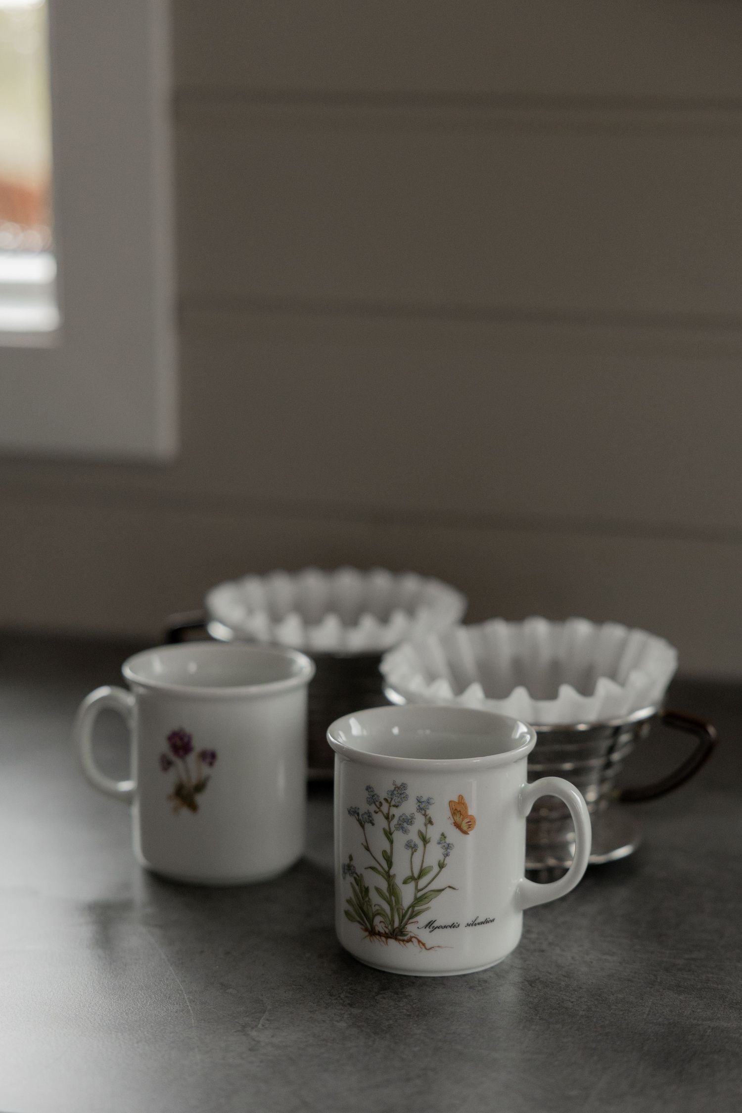 Two floral white ceramic mugs with botanical prints beside coffee filters on a gray countertop near a window by Taylor Zimmerman Photo