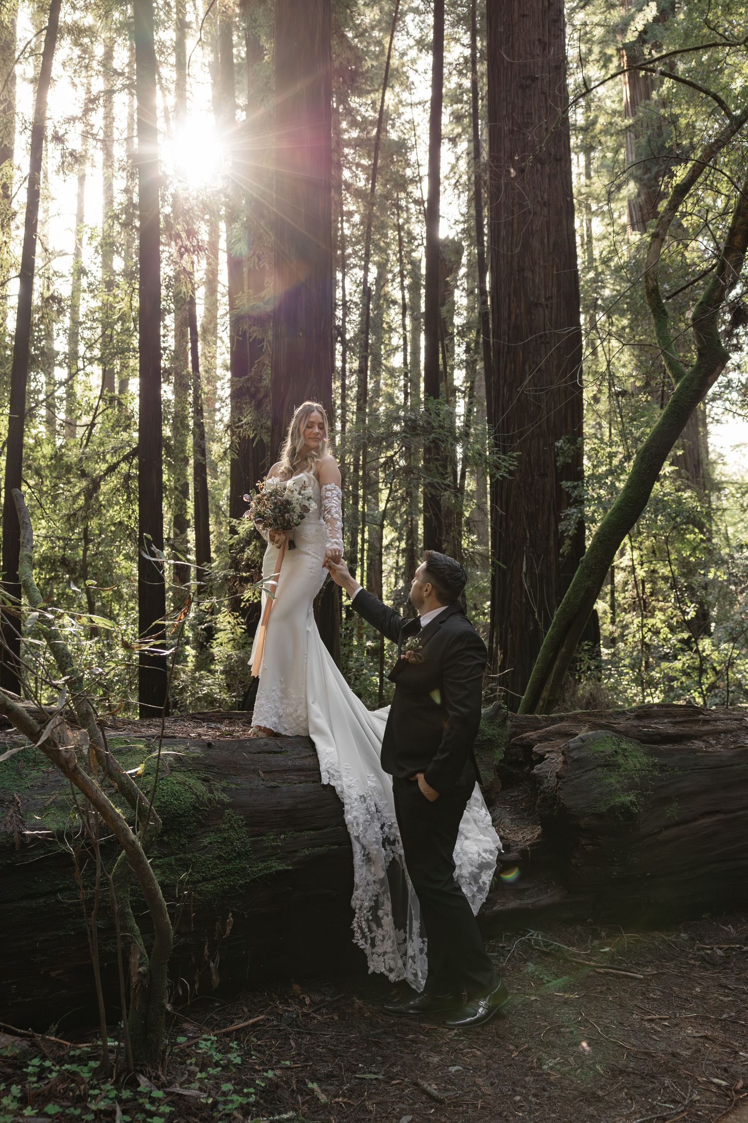 Bride in lace gown stands on fallen log holding groom's hand in sunlit redwood forest wedding photo by Taylor Zimmerman Photo