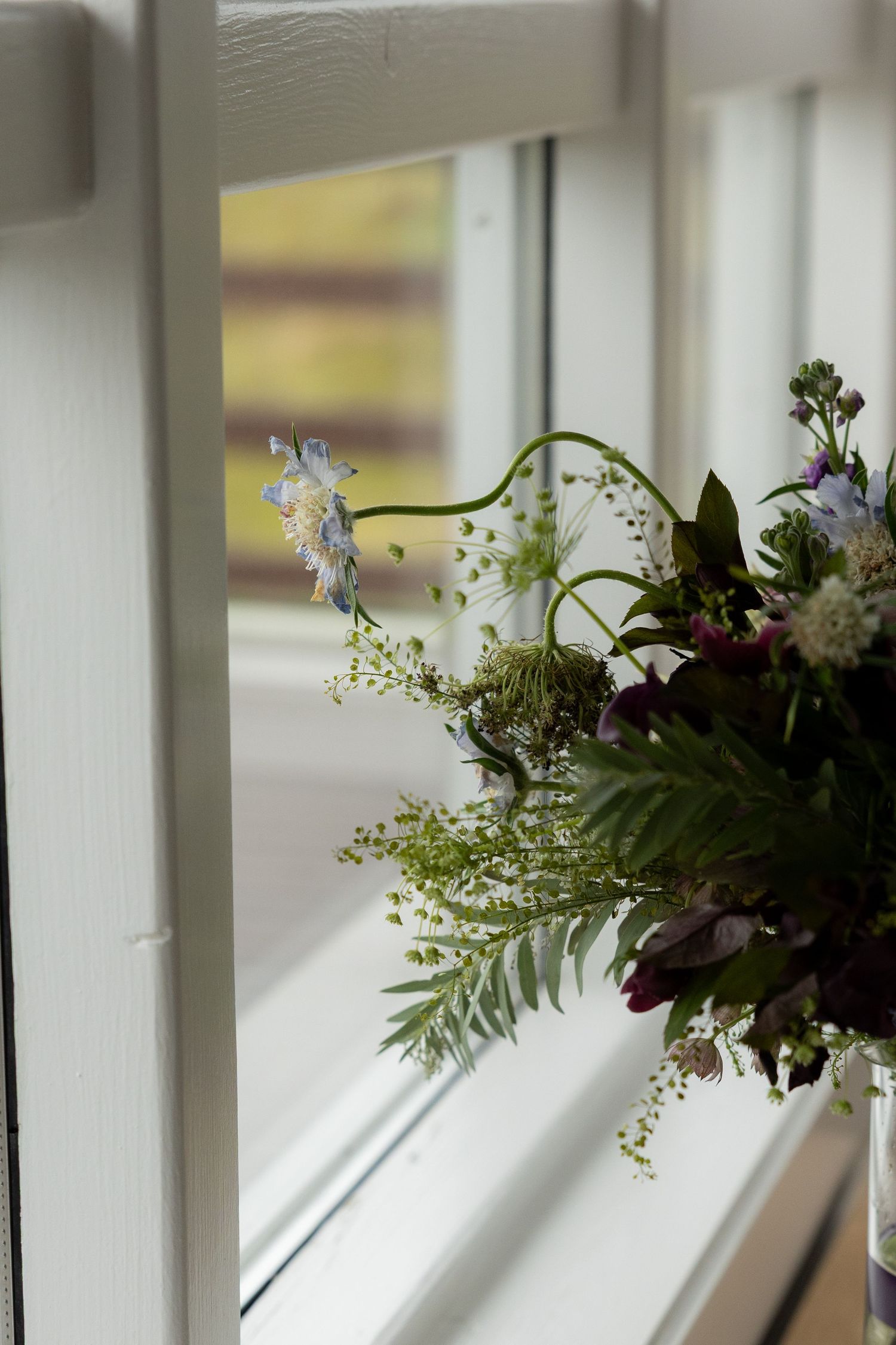 A delicate wildflower bouquet with ferns and blue blooms sits on a white windowsill with soft natural light by Taylor Zimmerman Photo