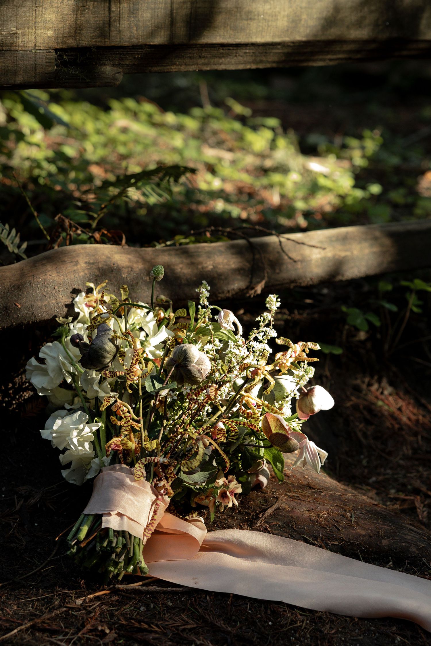 Bridal bouquet with white flowers and pink ribbon resting against a wooden fence in the redwood forest by Taylor Zimmerman Photo