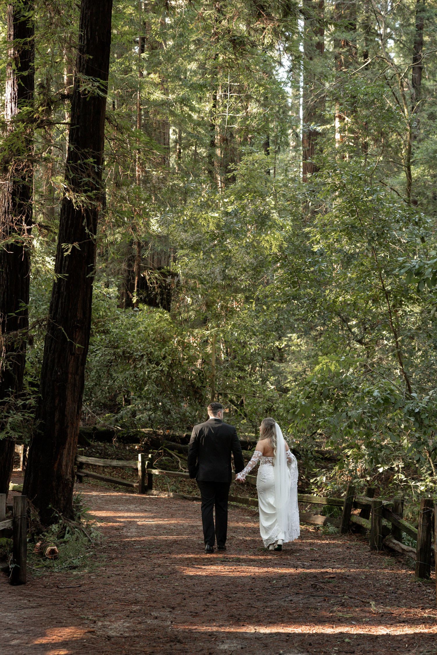 Couple walking hand in hand through a lush redwood forest on their wedding day by Taylor Zimmerman Photo