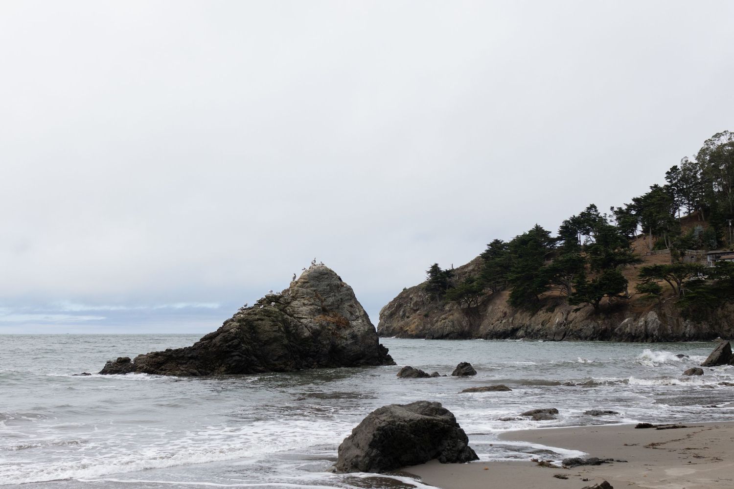 Rocky coastal beach with misty ocean waves, large boulders, and tree-covered cliffs under an overcast sky.