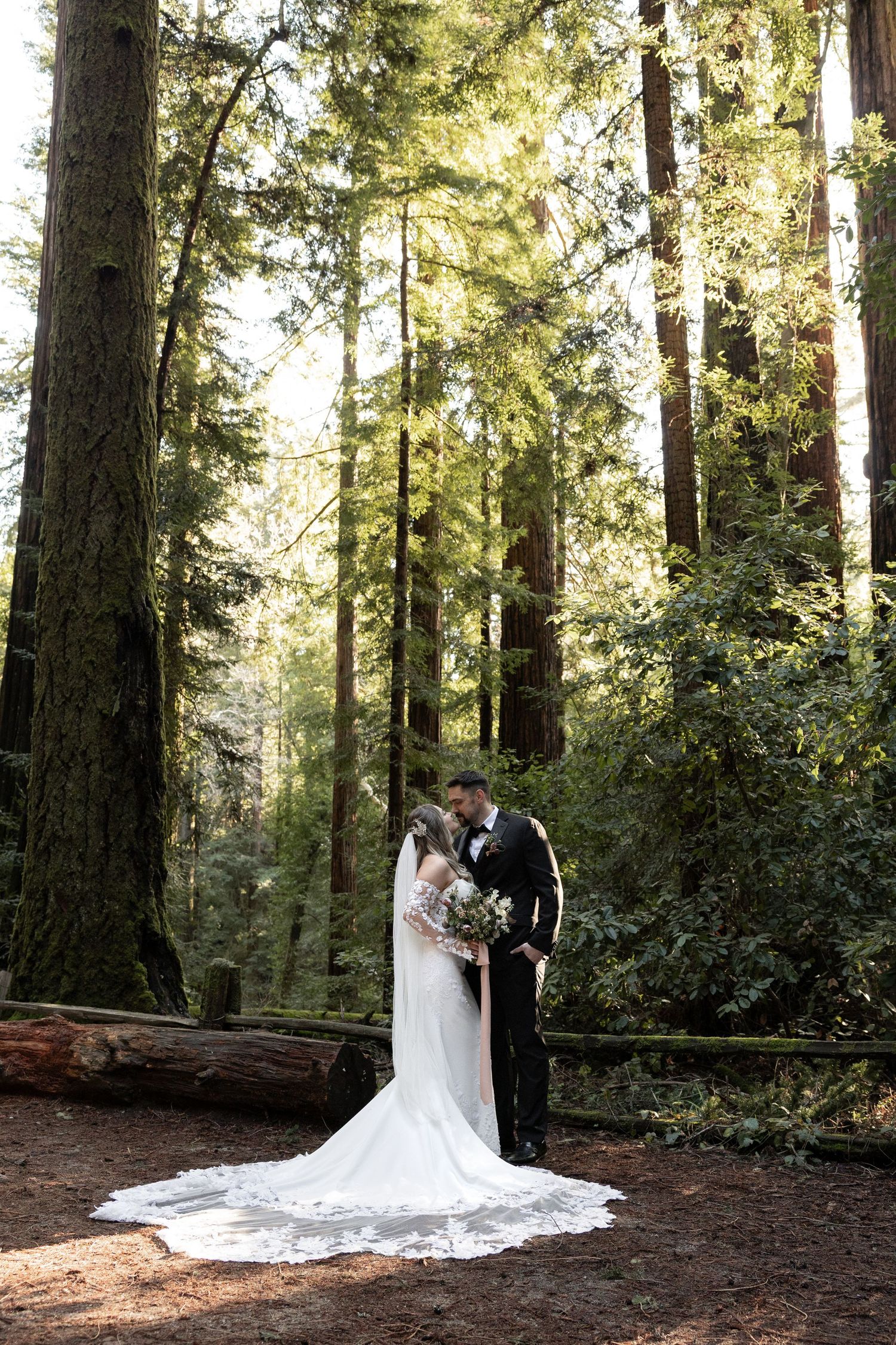 Couple share a romantic kiss among towering redwood trees in a sunlit forest wedding setting by Taylor Zimmerman Photo