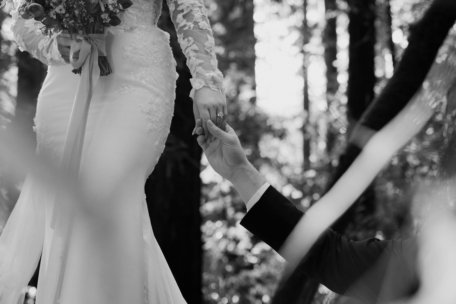 Couple holding hands outdoors in a redwood forest in black and white by Taylor Zimmerman Photo