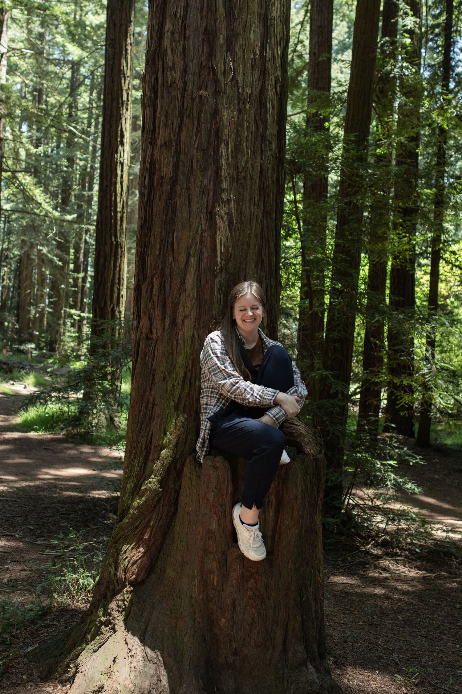 Taylor smiling while sitting in the base of a giant redwood tree in a lush forest.